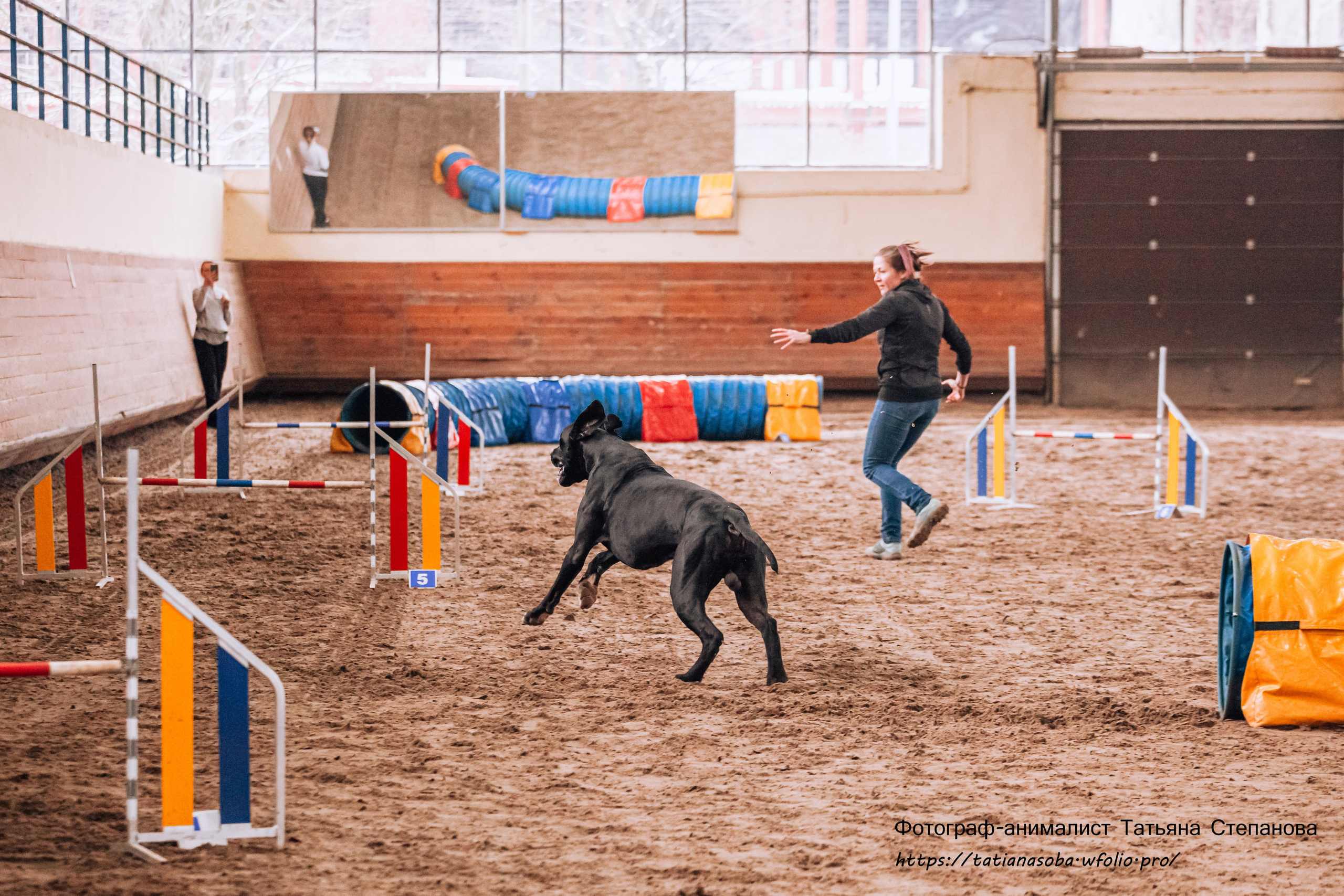 Соревнования по Аджилити 25.02.2024. Фотограф-анималист Татьяна Степанова