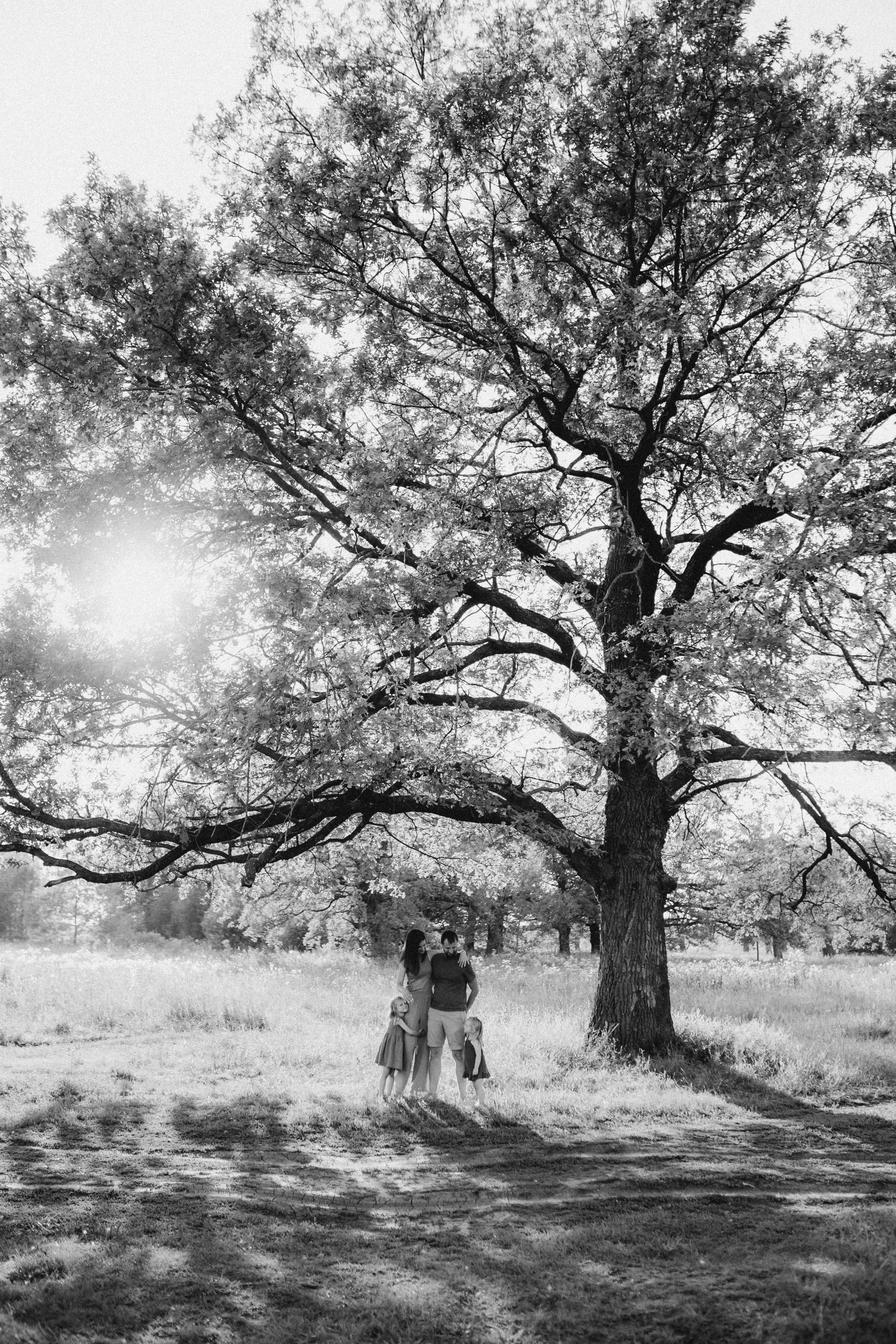 Прогулка в дубах. Семейный и детский фотограф в Рязани Екатерина Воронцова