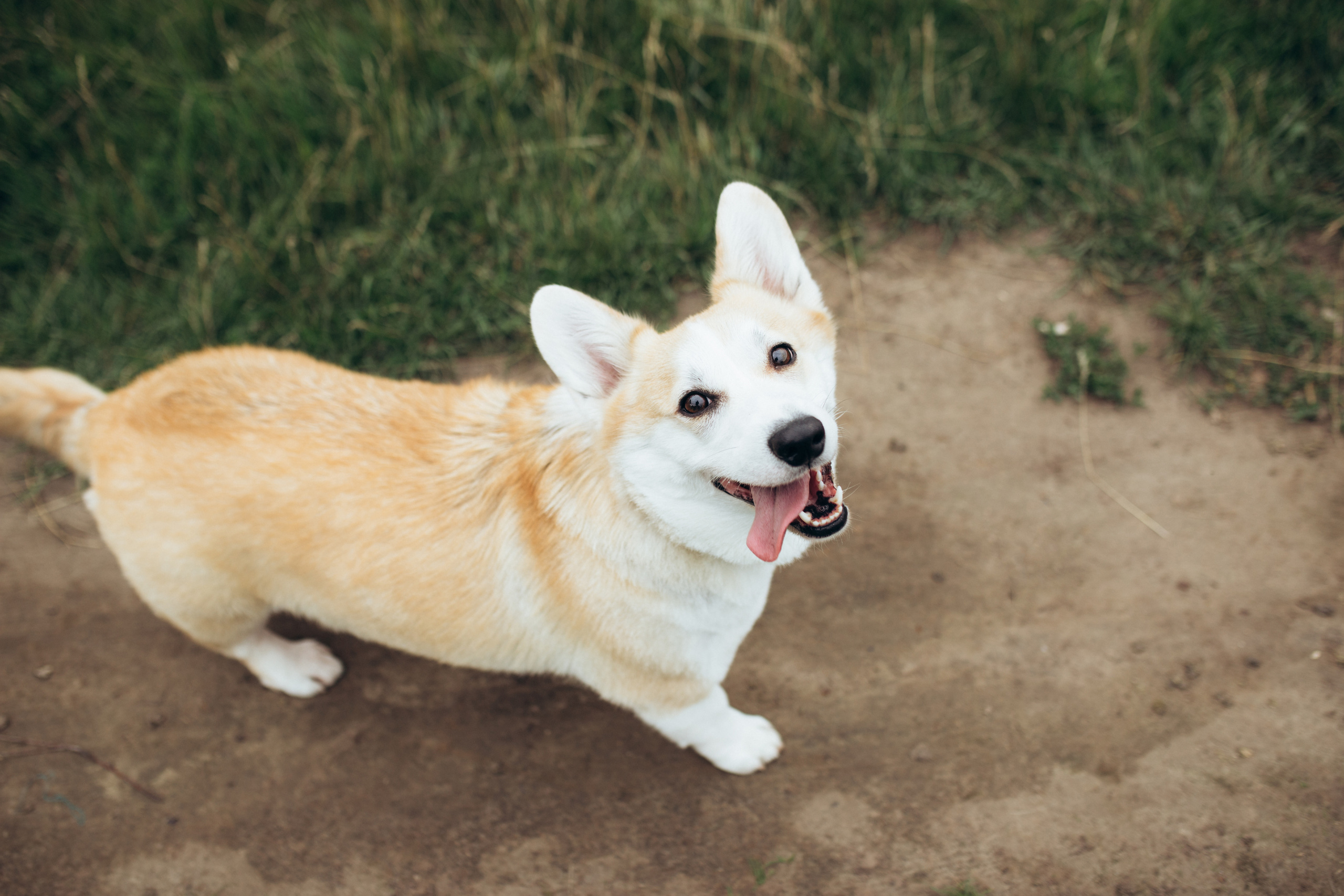 Любовь. Семейный и детский фотограф в Рязани Екатерина Воронцова