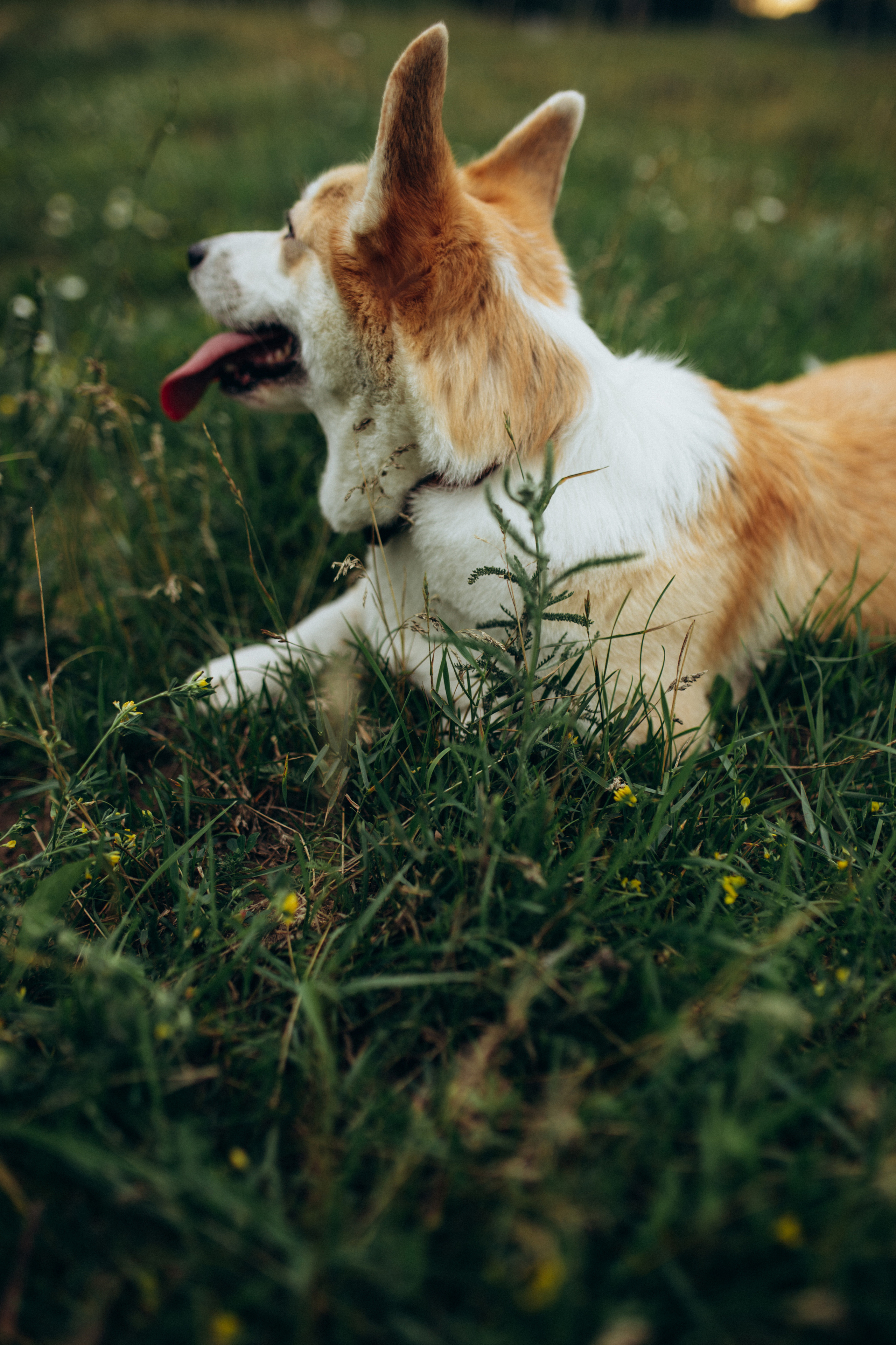 Любовь. Семейный и детский фотограф в Рязани Екатерина Воронцова