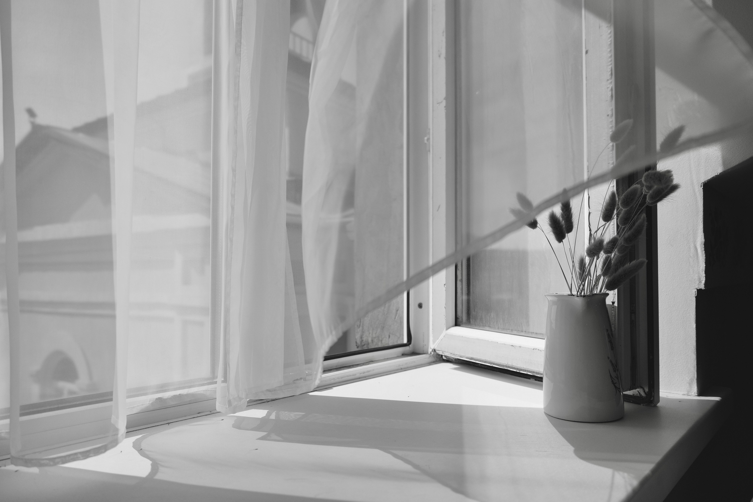 Красноярск 10-24.05.2025. Фотострелка