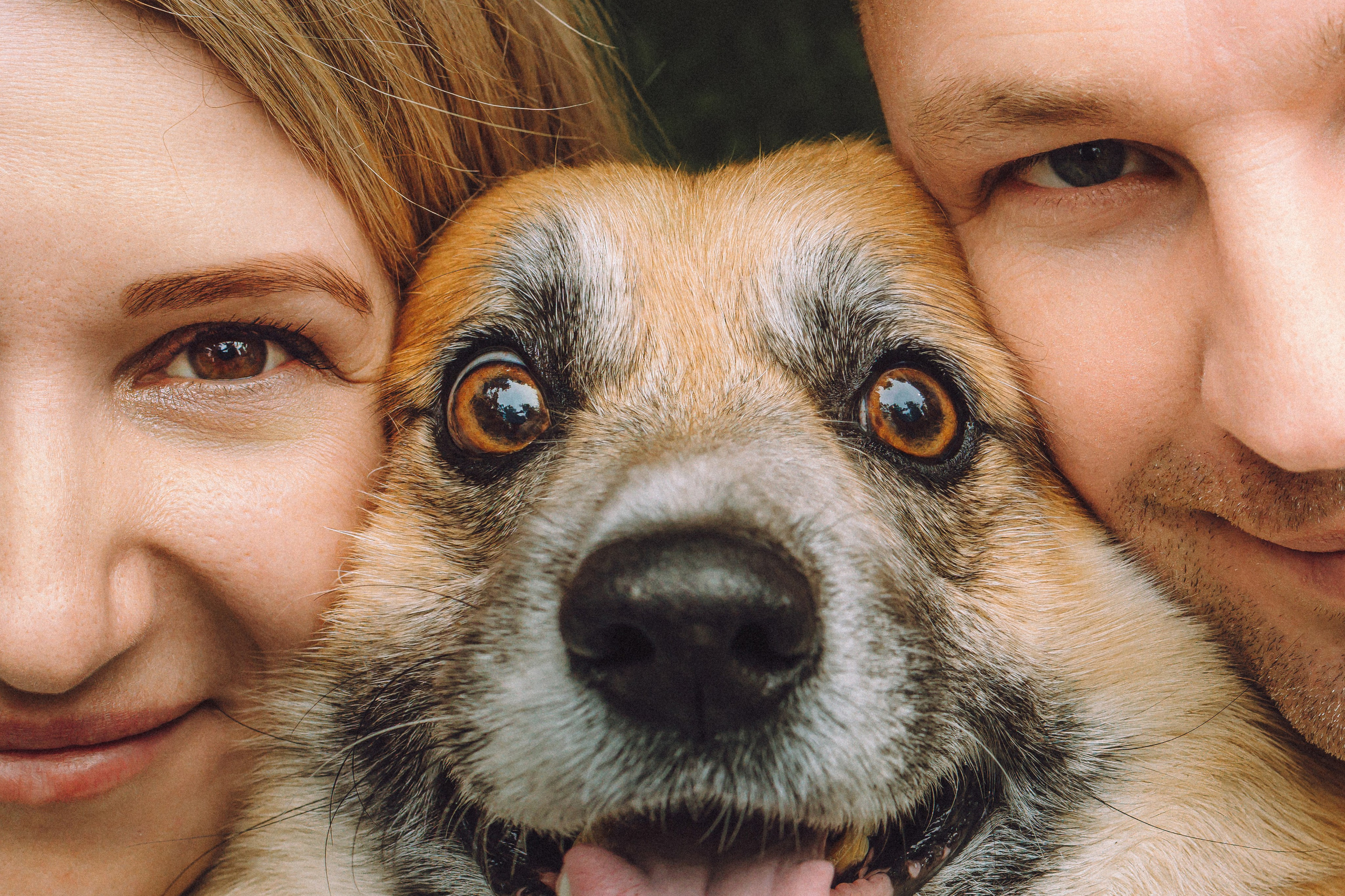 Ира, Леша и Харли