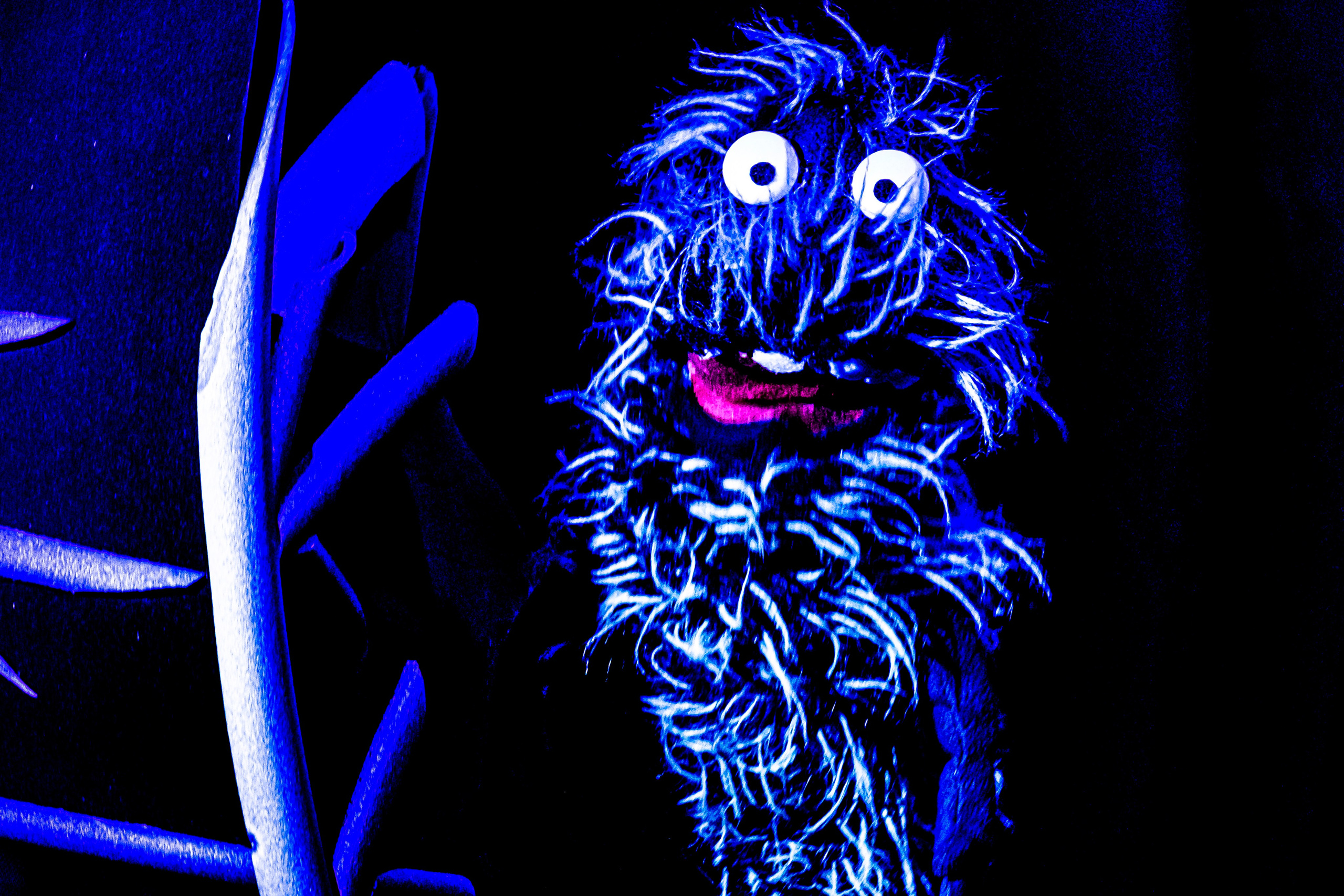 «Муми тролли и большое наводнение». Фотограф в Сочи Юрий Шептаев