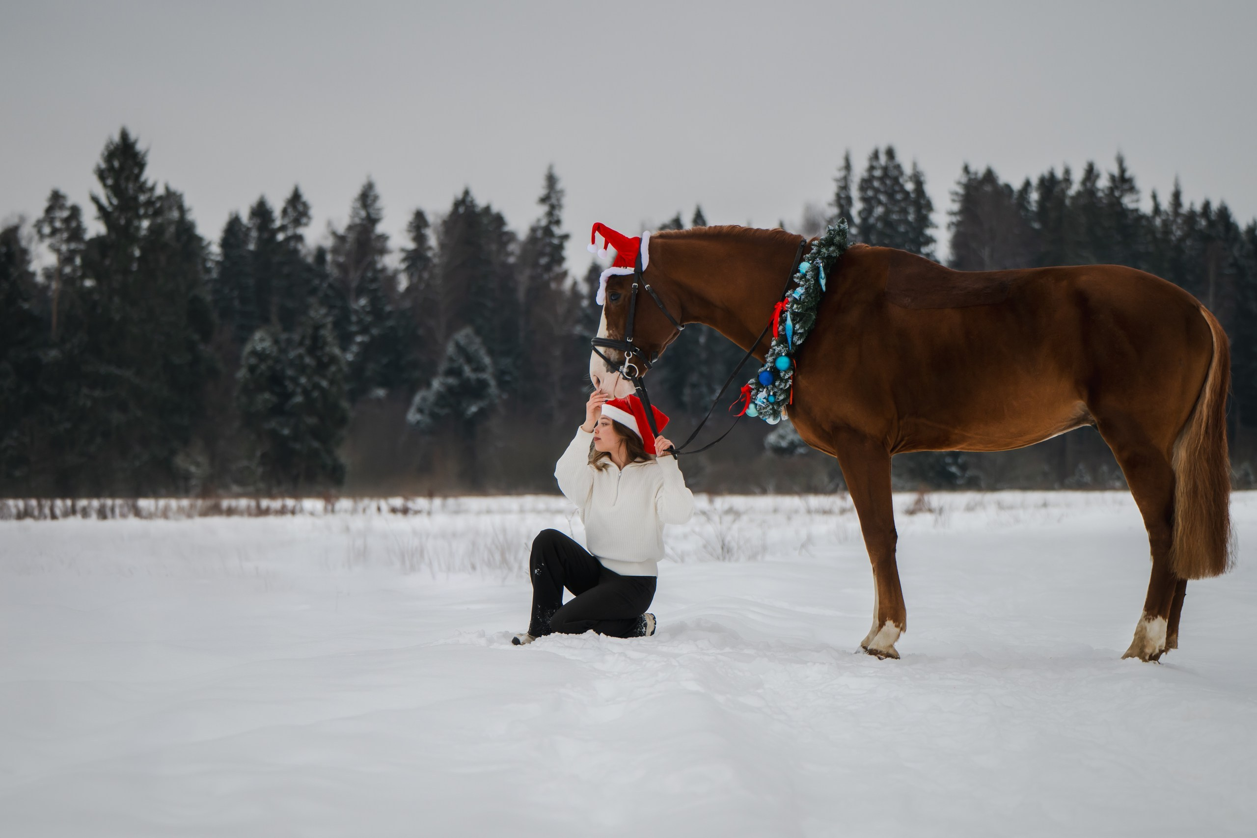 Виктория и Лео. Фотограф Анималист в Москве Анастасия Жучкова