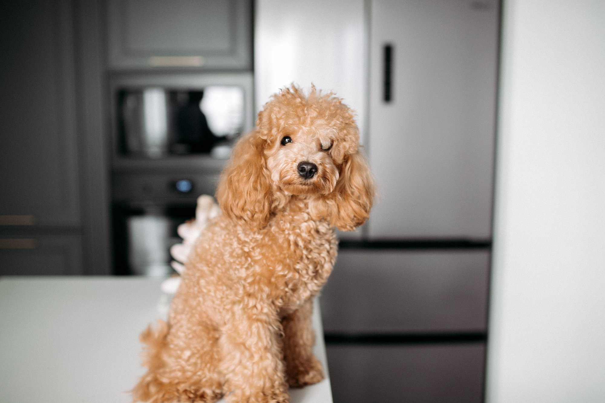 Свадебные фотографии Смоленск. Свадебный фотограф в Смоленске Витя Лысенков