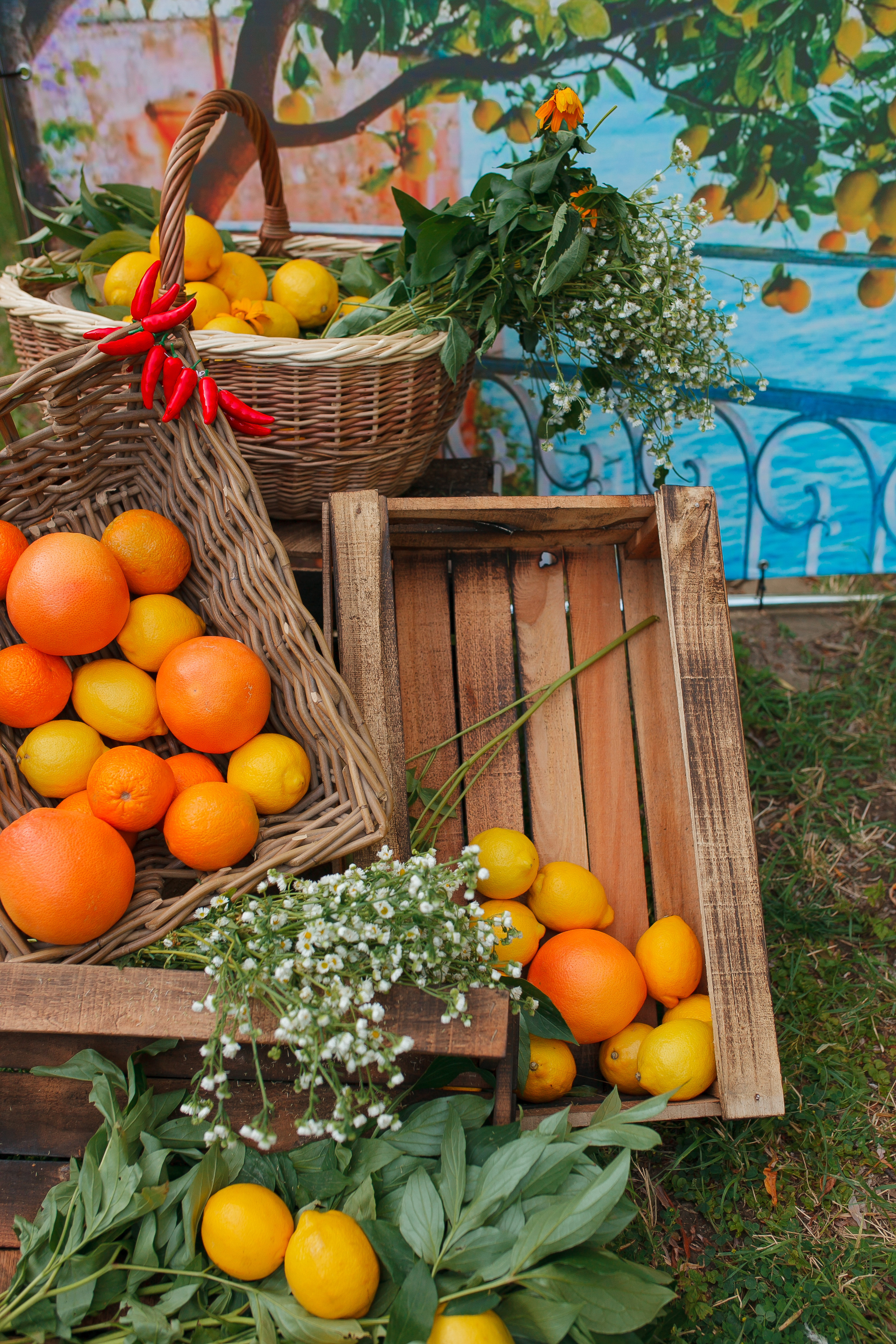 Отзывы о Виктории Литвиненко. Свадебный и семейный фотограф  Новочеркасск Виктория Литвиненко