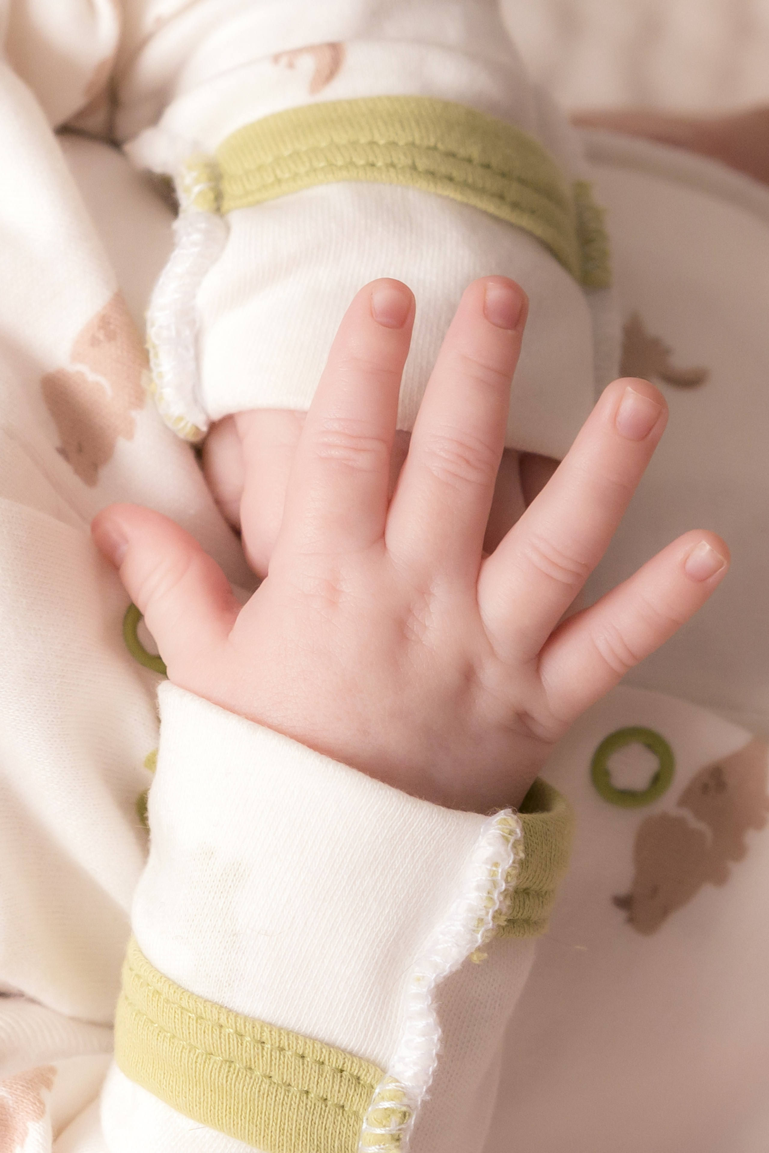 Мужской портрет. Натали Ридель