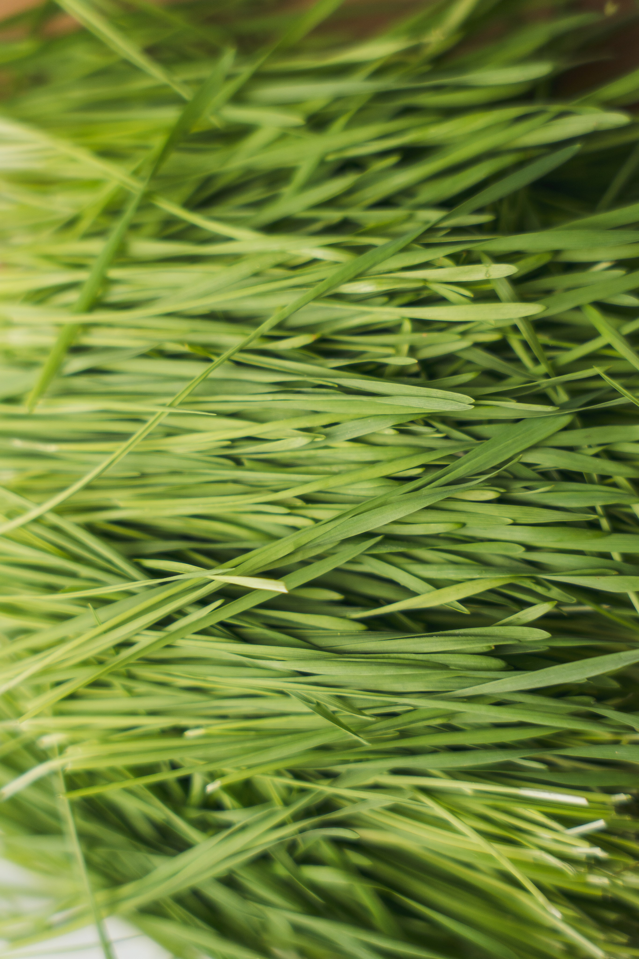 «ЧУДЕСНАЯ ЖИЗНЬ». Фотограф в Москве Казакова Анна