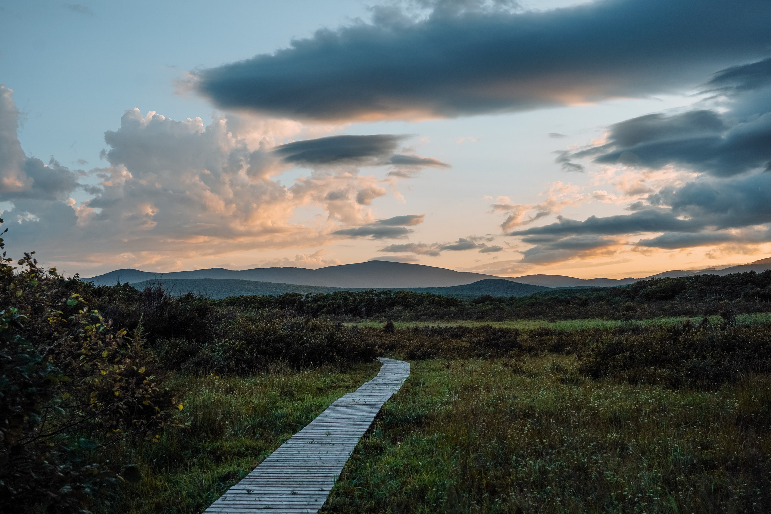 Сихотэ-Алинский заповедник, Приморский край. Репортажный фотограф в Крыму Ксения Гасица
