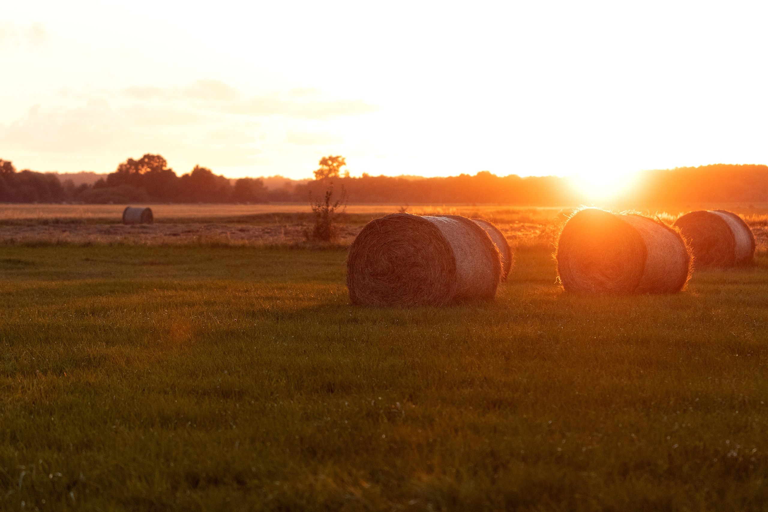 ПОРТФОЛИО. Детский и семейный фотограф в Калининграде Надежда Гриднева