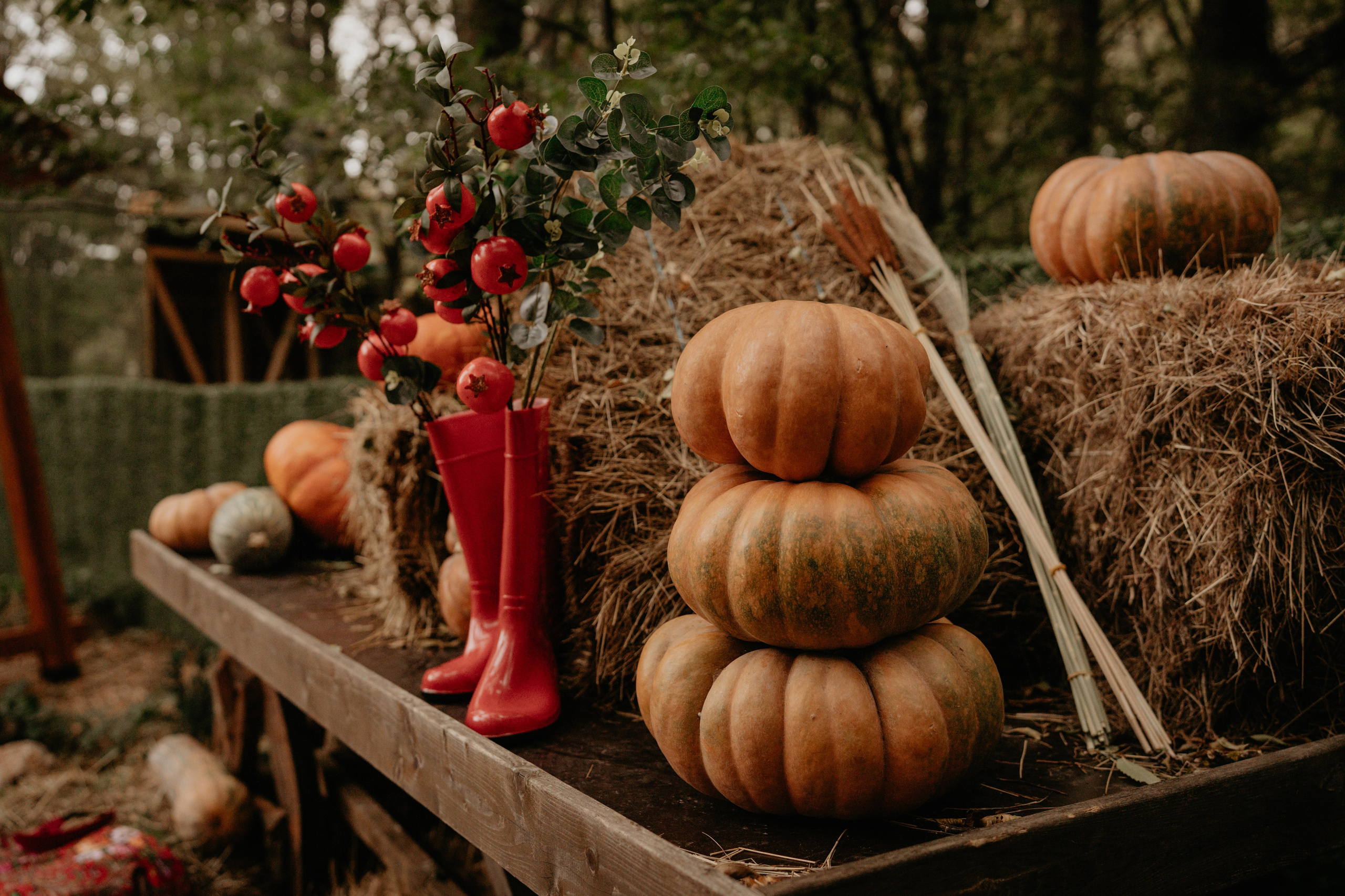 Ангарский Перевал. Фотограф и Видеограф Севастополь Крым