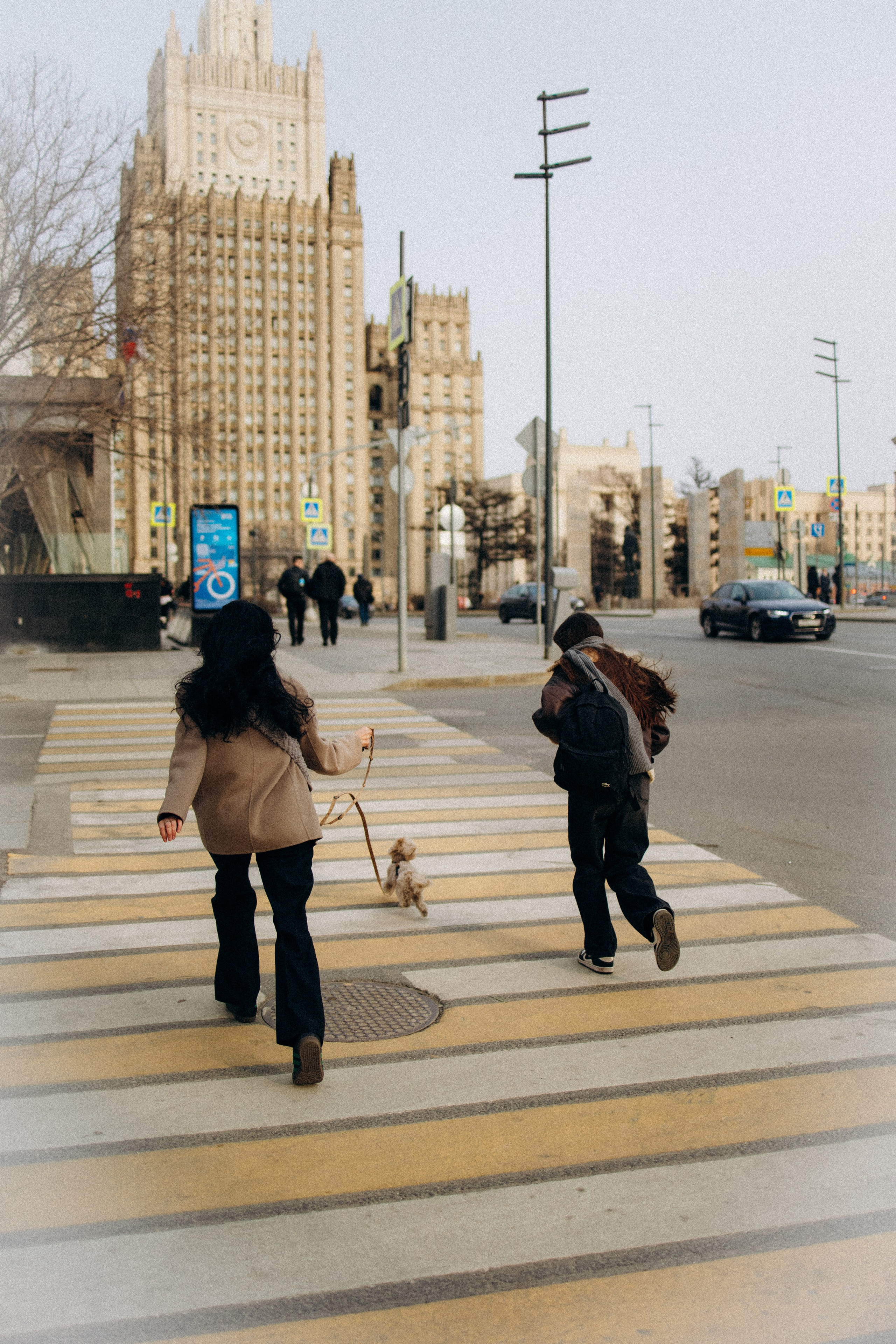 Маша, Лиза и Луна. Фотораф — анималист Мария Шистка