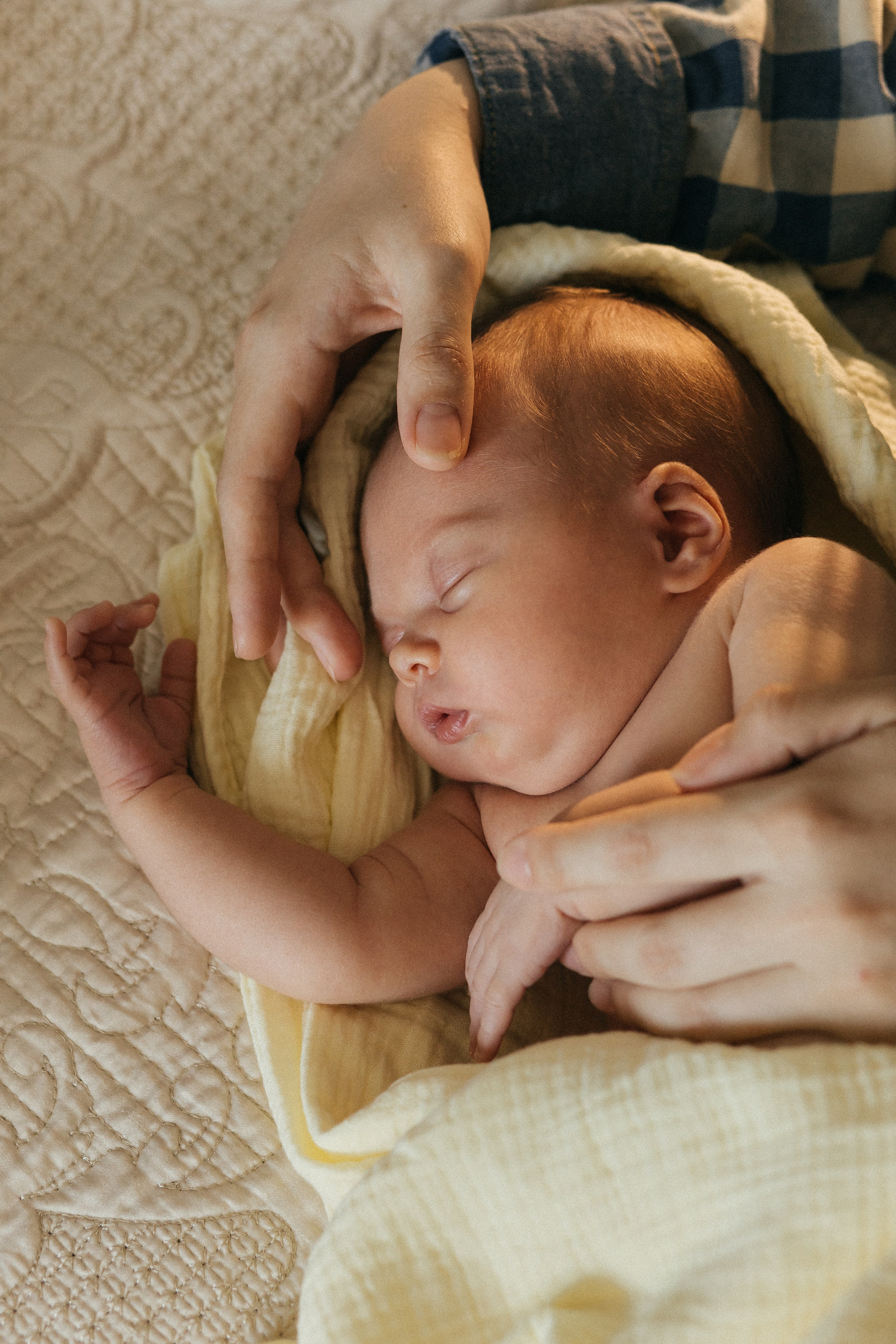 Наташа, Эд, Агния и Божена. Главная