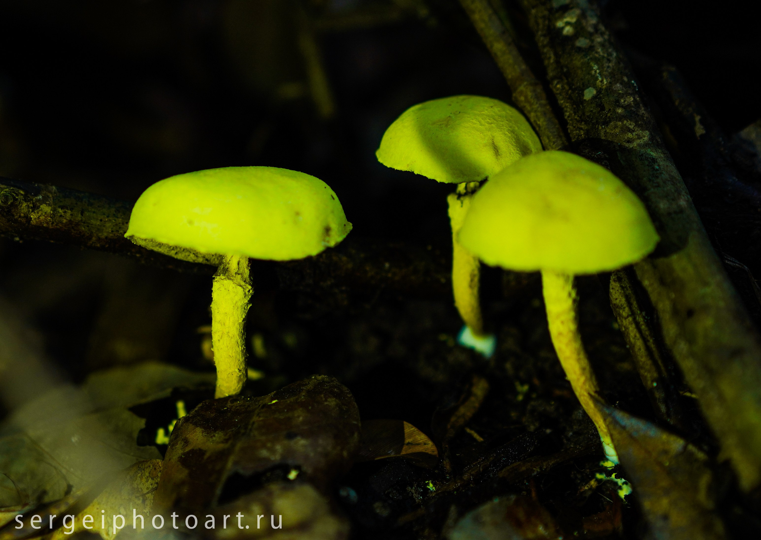 Остров Фукуок, Вьетнам. Фотограф Сергей Кишкель Дананг Нячанг Фукуок