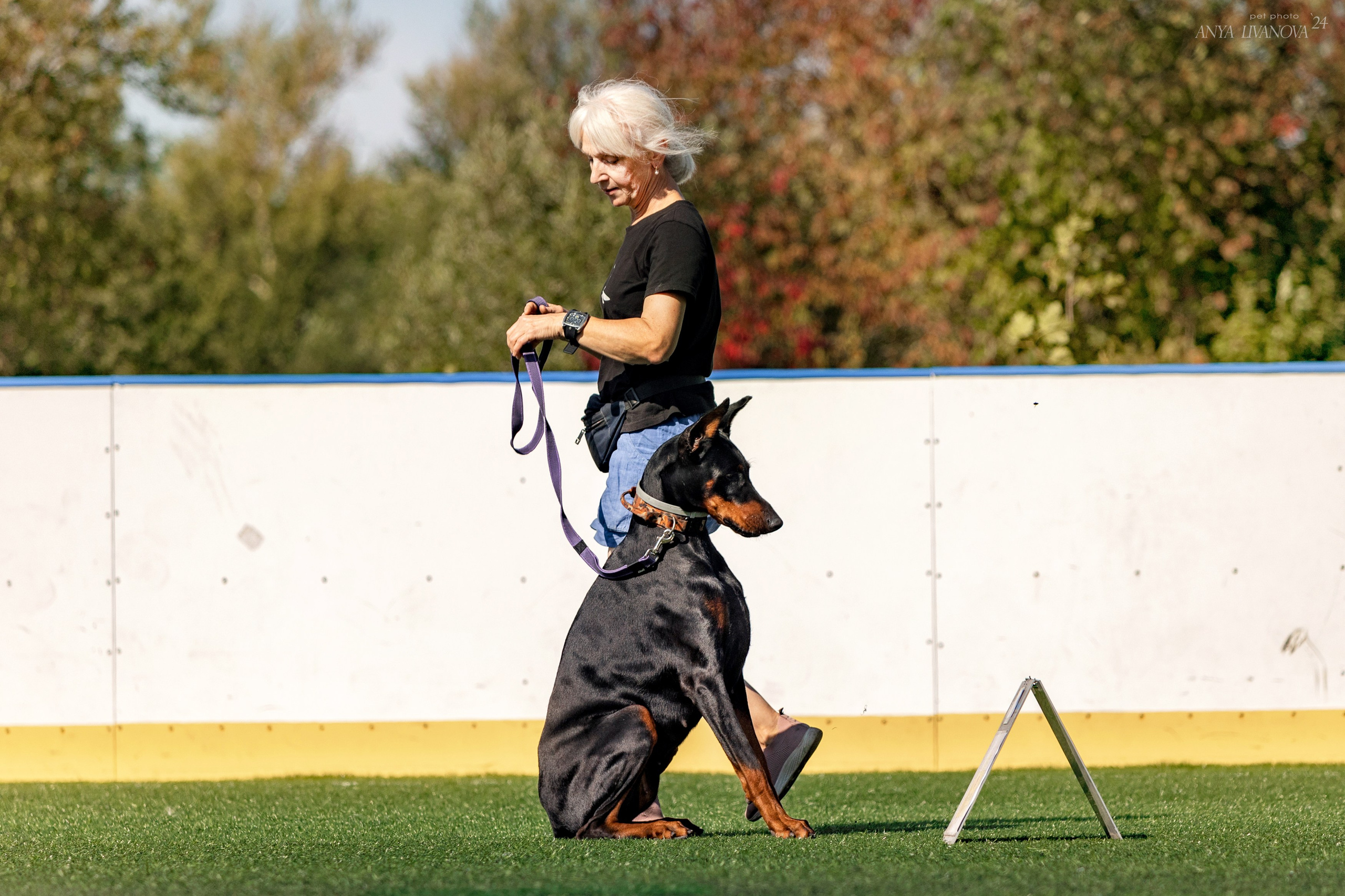 Ралли обидиенс. Фотограф анималист Аня Ливанова | Рыбинск