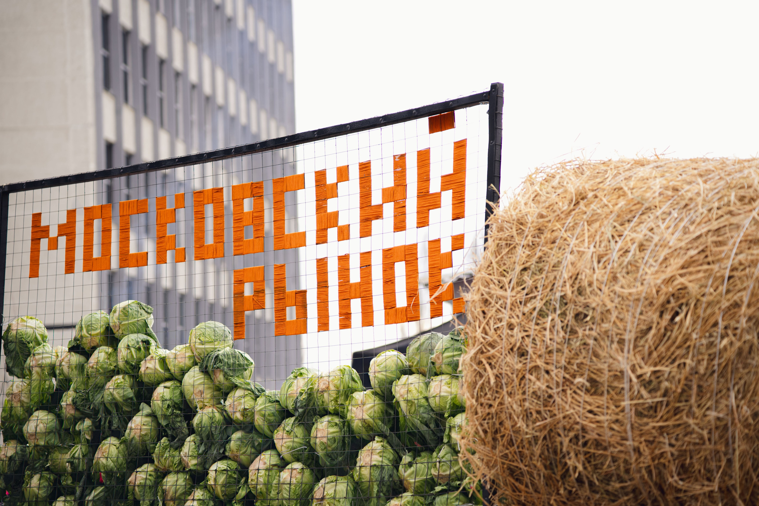 Дача в городе // Московский рынок. Репортажный фотограф в Казани Виктория Трунова