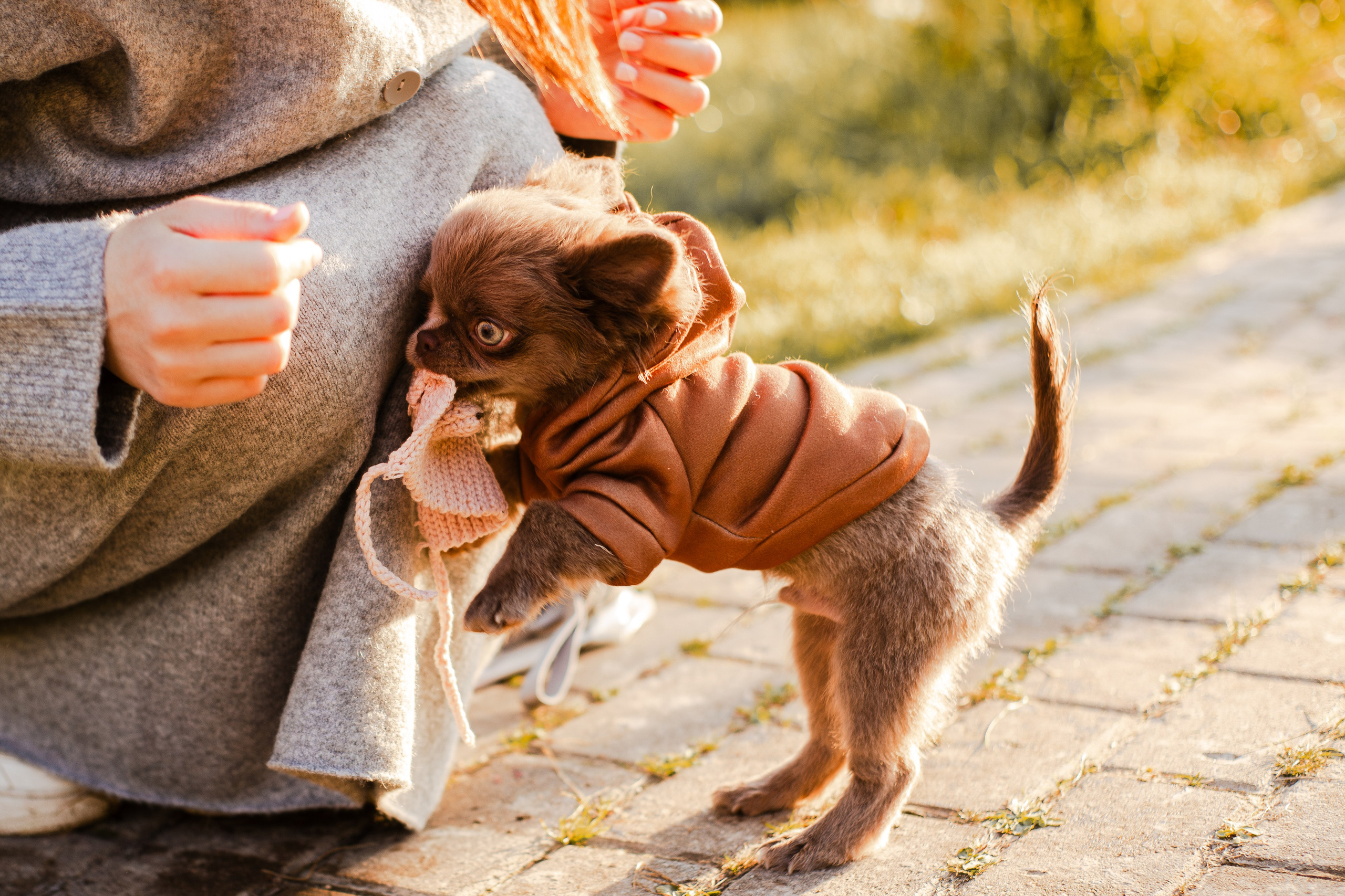 Варя и Фунтик. Фотограф-анималист Мария Баркевич | Москва