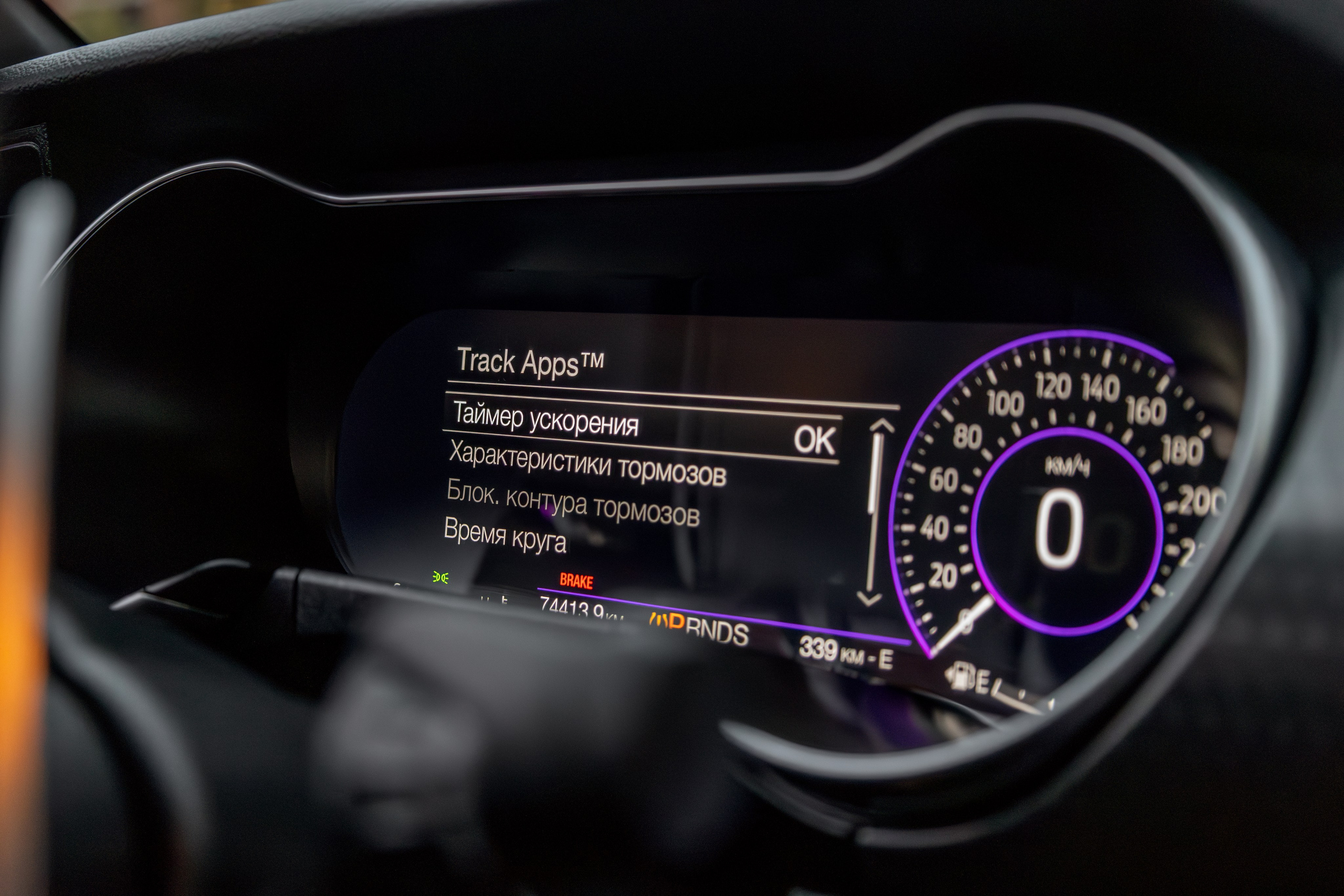 Mustang. Мелехов Дмитрий|Фотограф|Видеограф