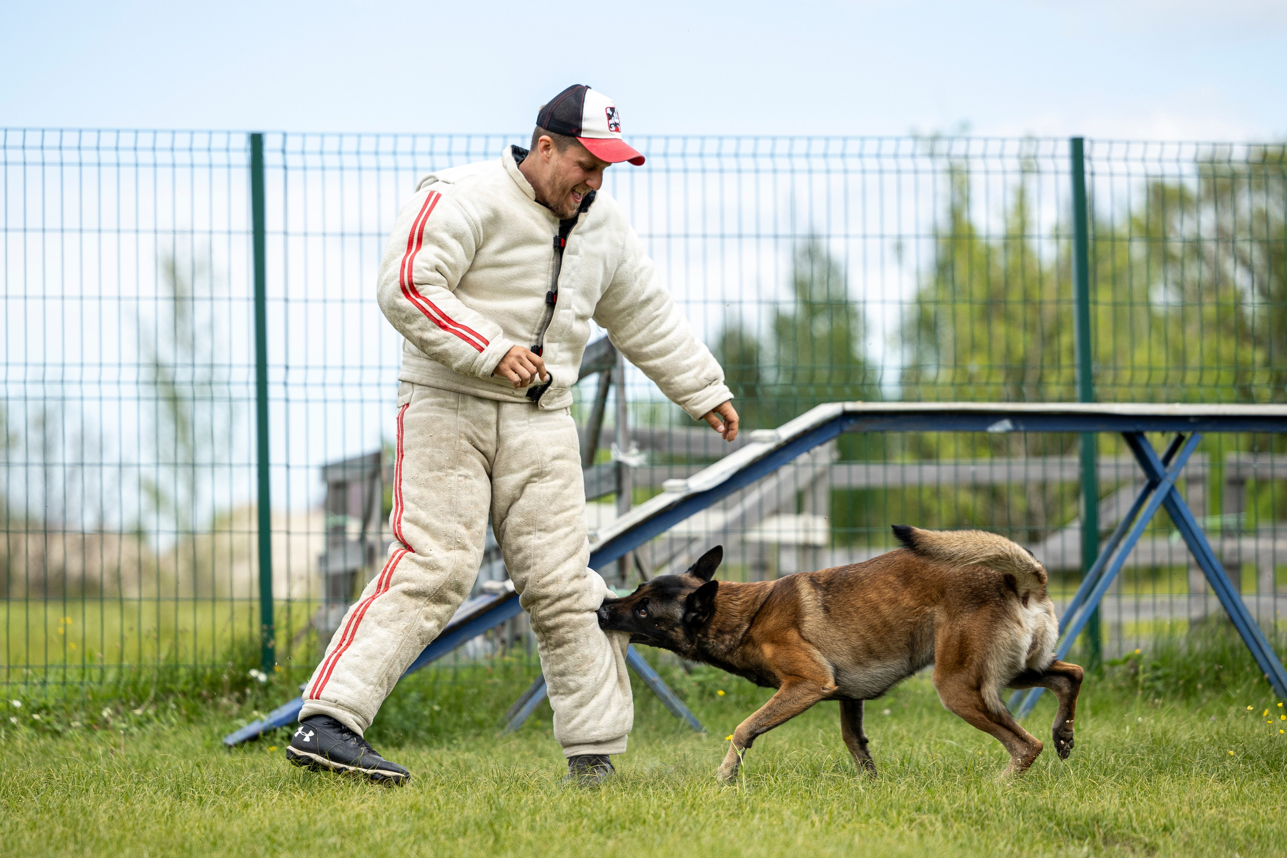 Испытания по мондьорингу в Нижнем Новгороде. Фотограф-анималист Анна Маринич