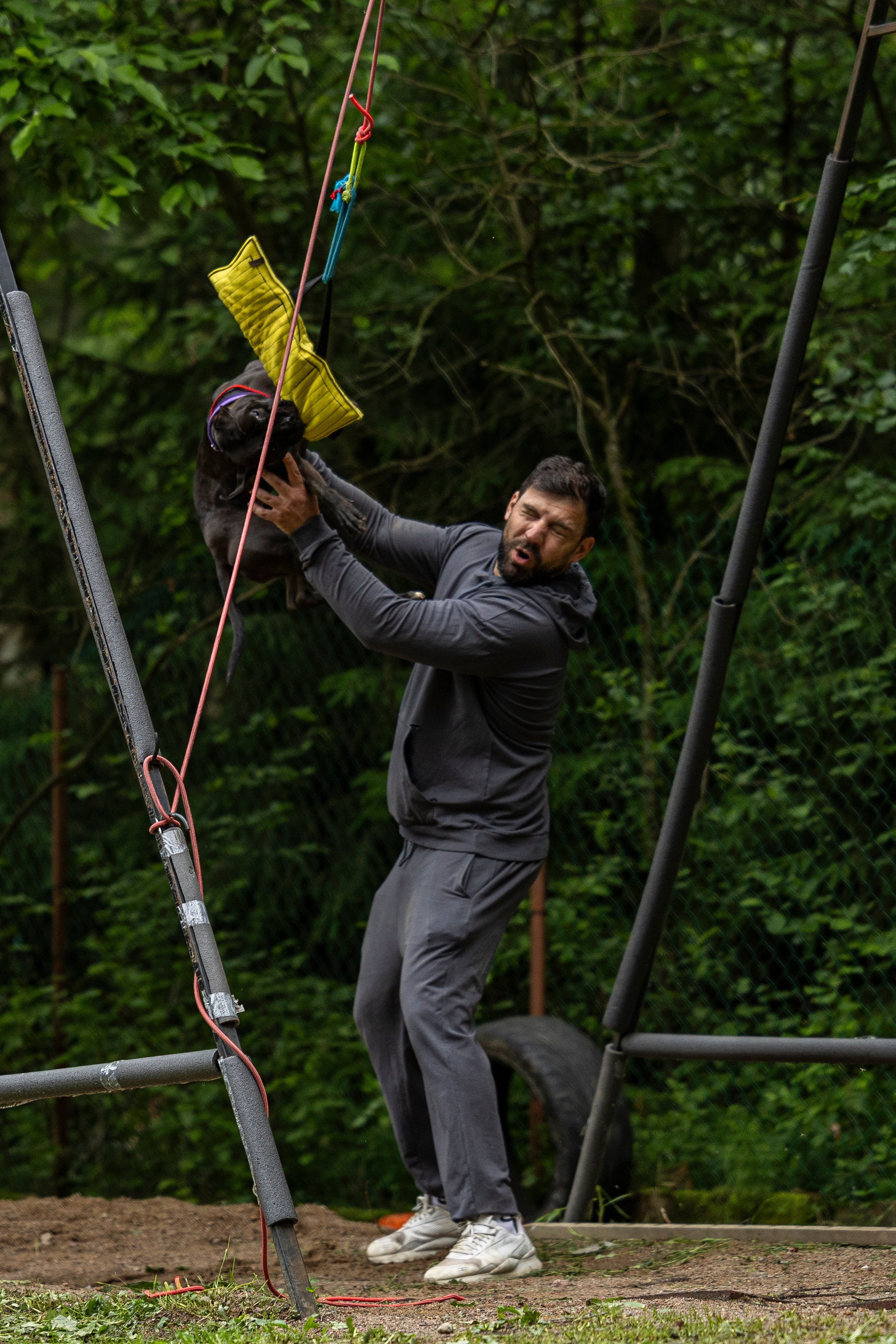 Пит-стафф многоборье. Фотограф-анималист Анна Маринич