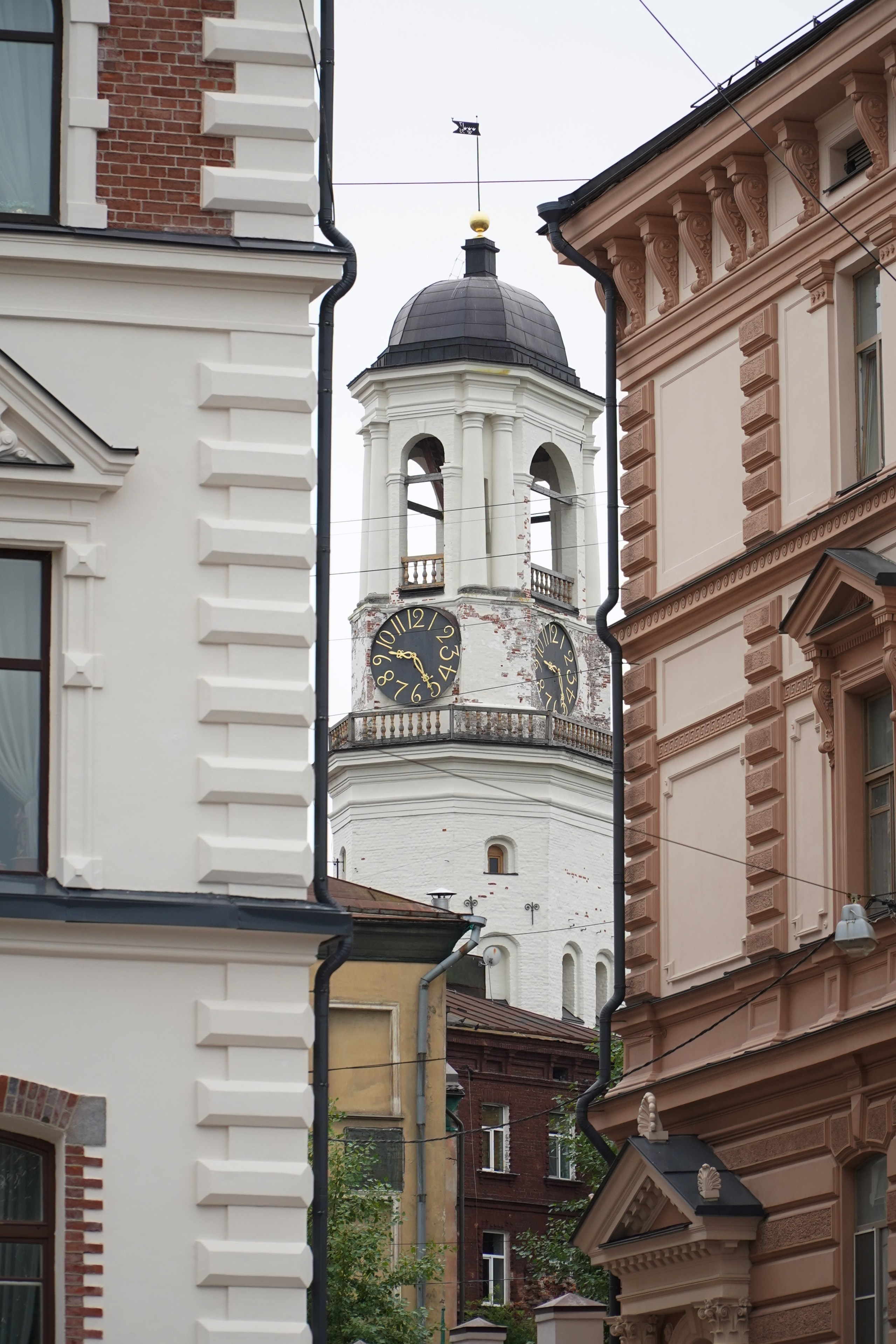 ВЫБОРГ. Июль 2024. Фотограф Наталья Погодина в г. Обнинске