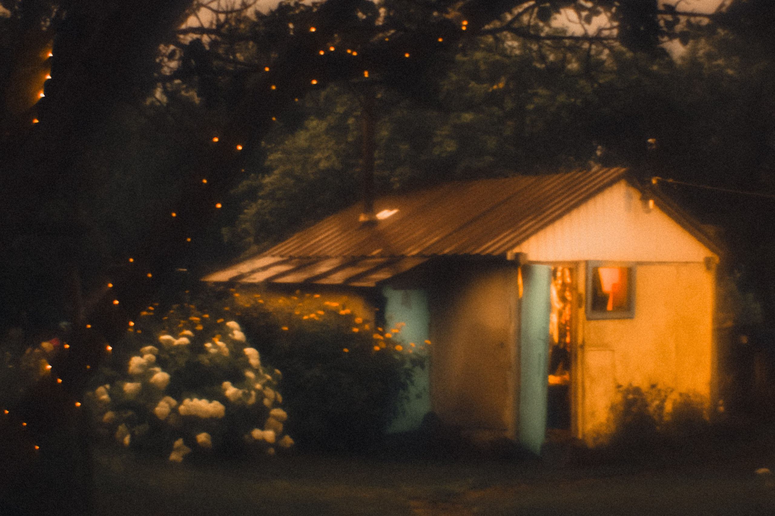 Поэзия повседневности. Семейный фотограф в Москве Марина Аргунова