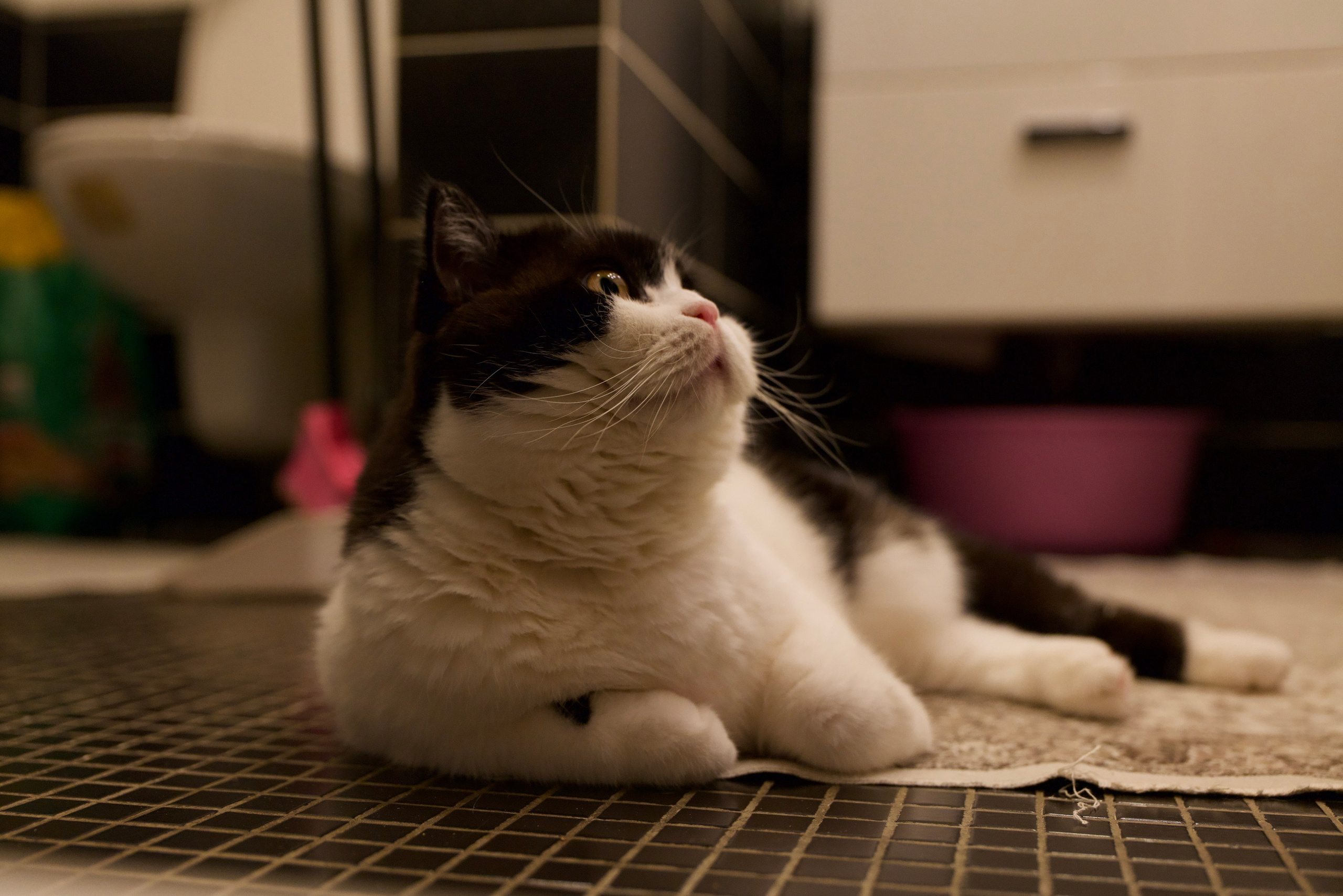 Мои фото. Владимир Власюк