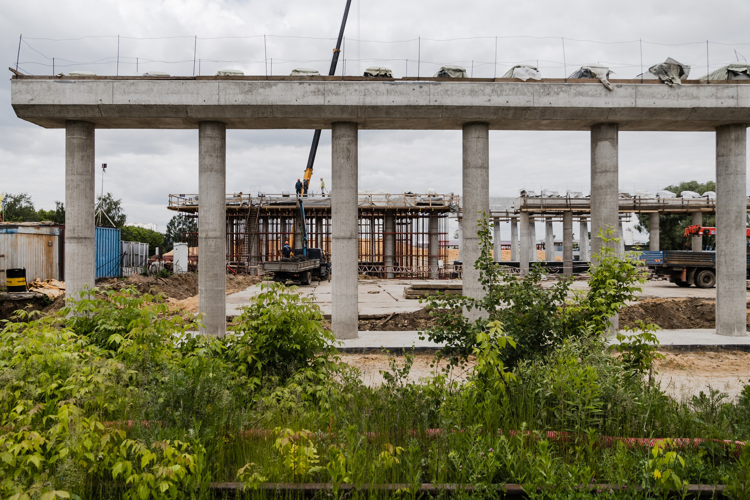 Открытый мир. DASHA KALNINA