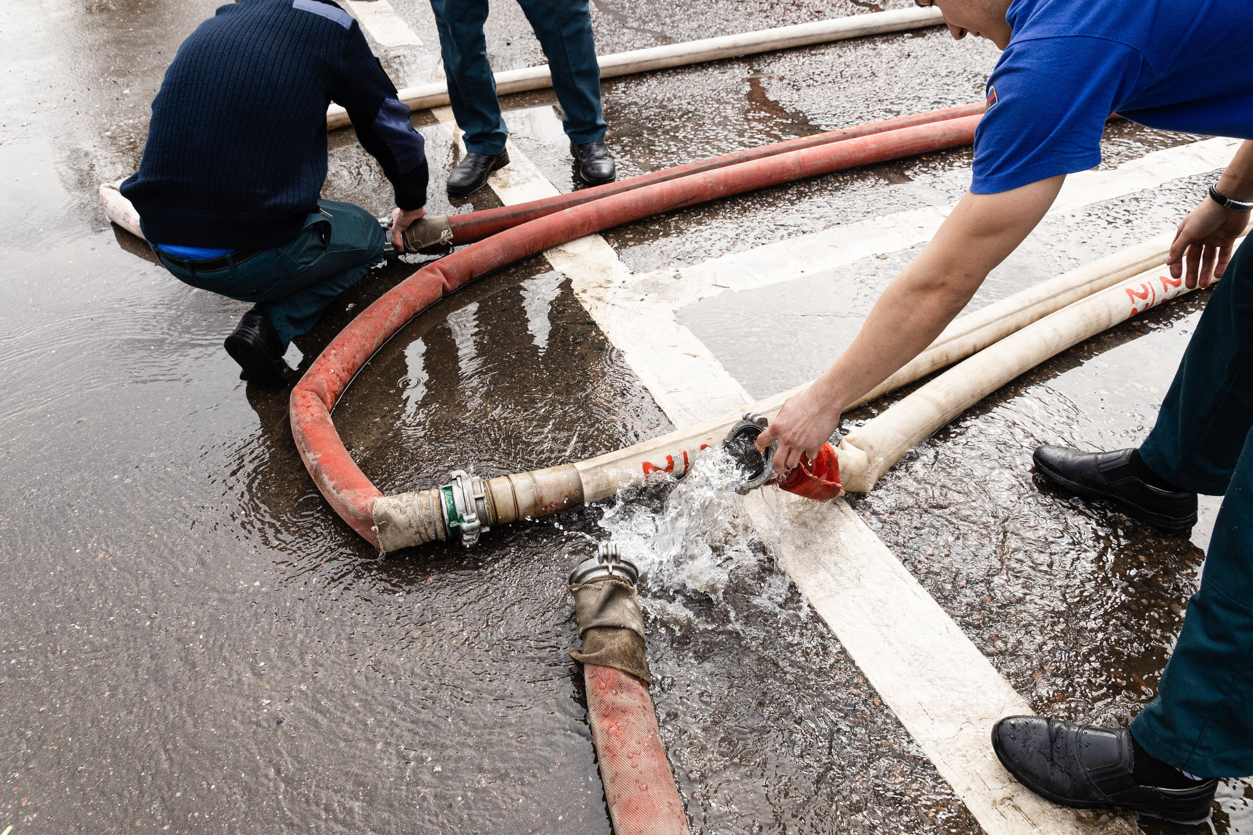 Часть. DASHA KALNINA