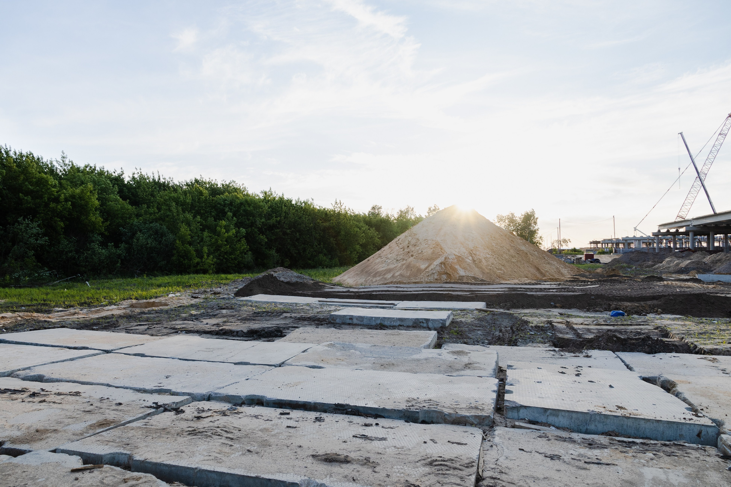 Открытый мир. DASHA KALNINA