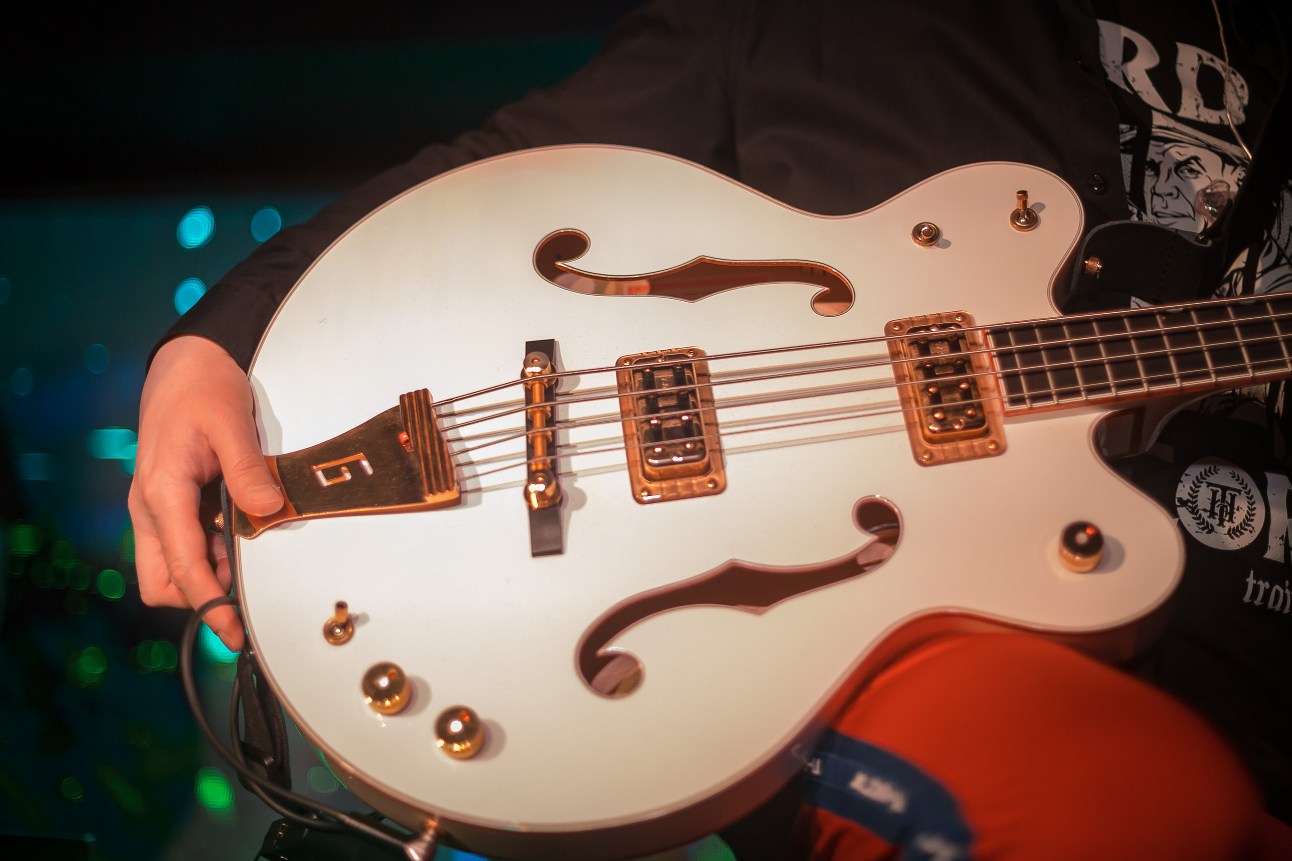 Последний концерт Вука. Фотографиня Мария Дикова