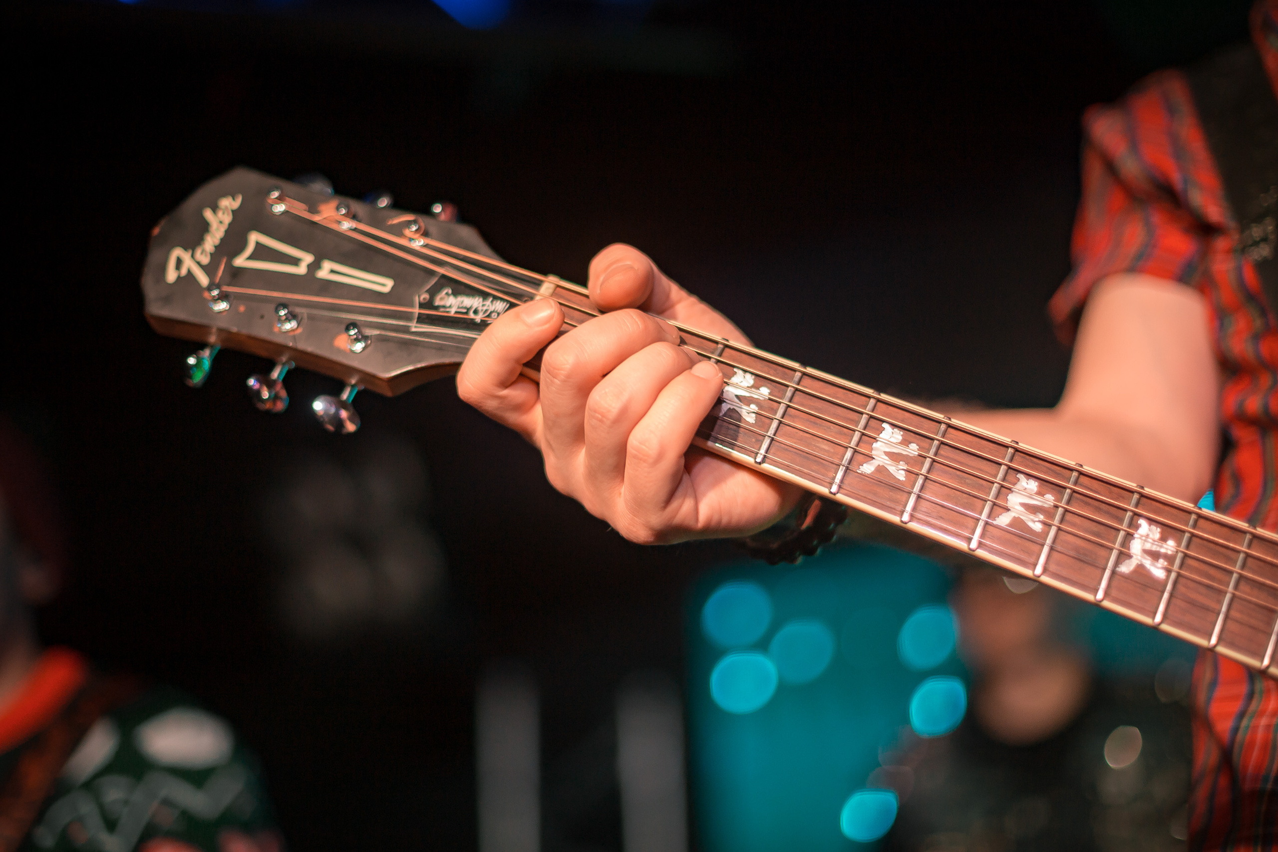 Последний концерт Вука. Фотографиня Мария Дикова