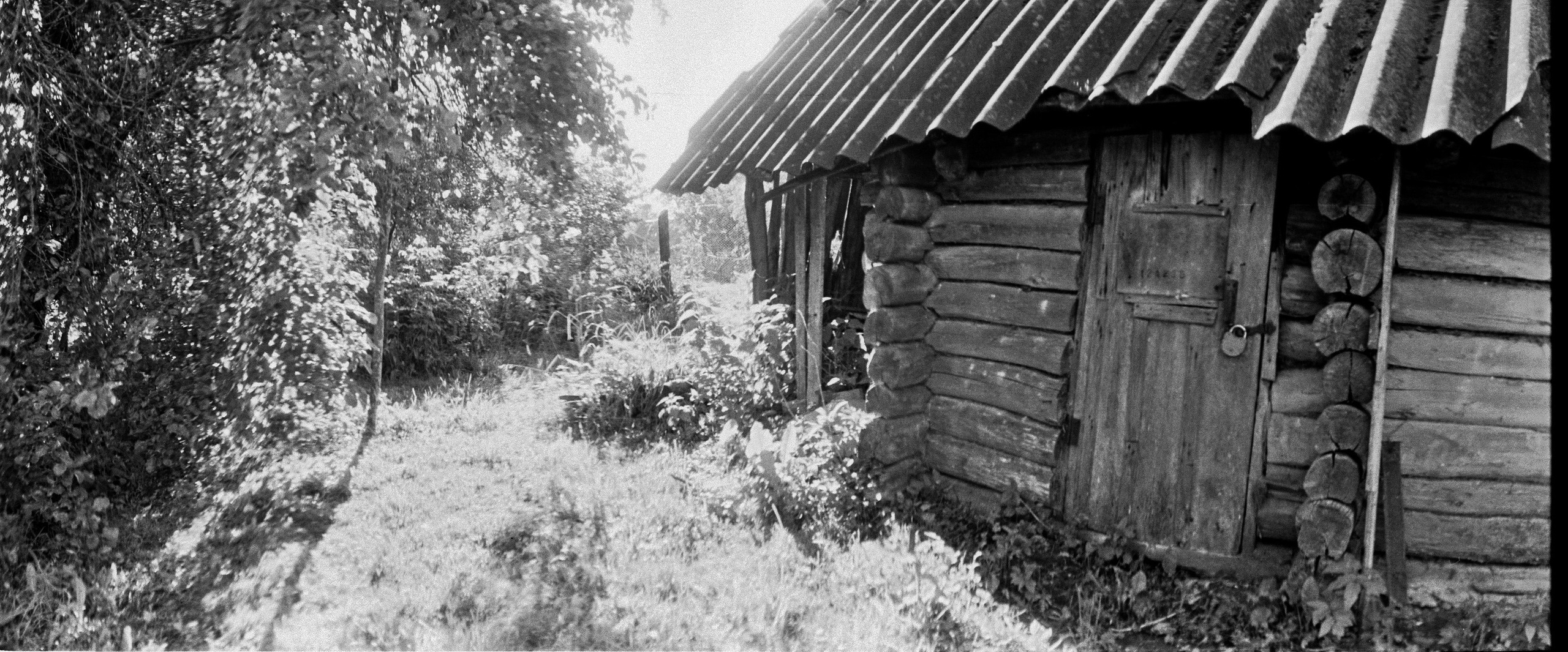 Было лето. Часть 3. ФОТОГРАФ ЛИЛИЯ БИЧУРИНА