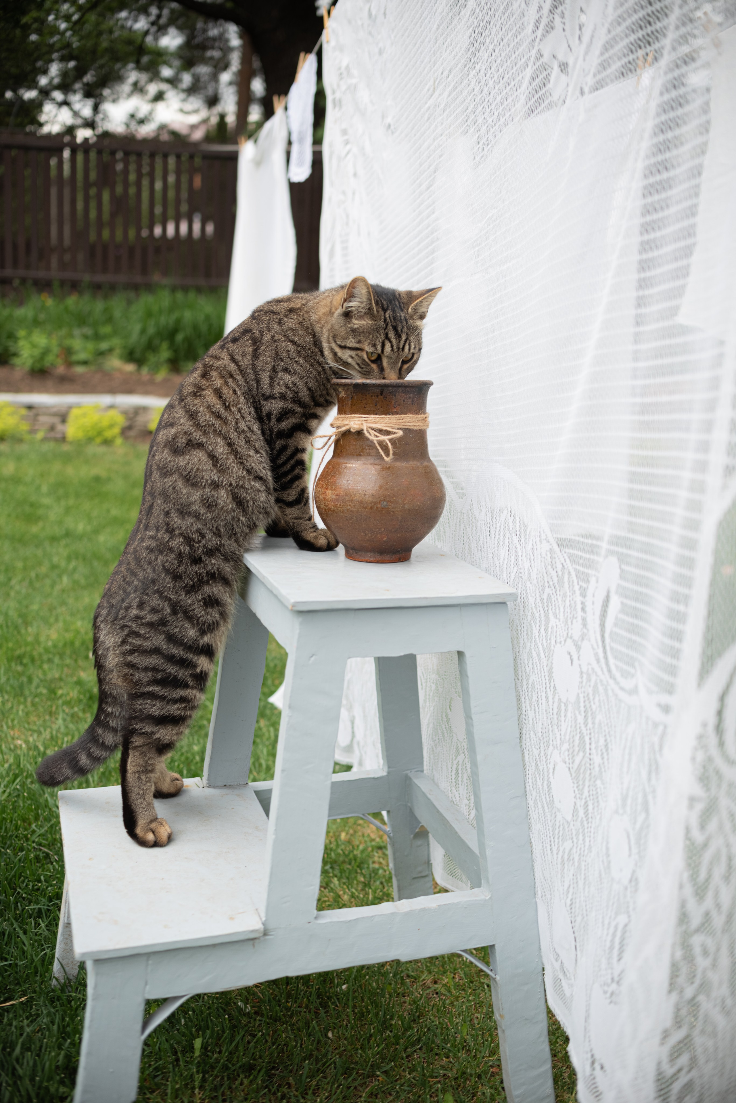 Фотосессии на природе. Свадебный и семейный фотограф Екатерина Пушан. Москва, Балашиха, Железнодорожный, Солнечногорск