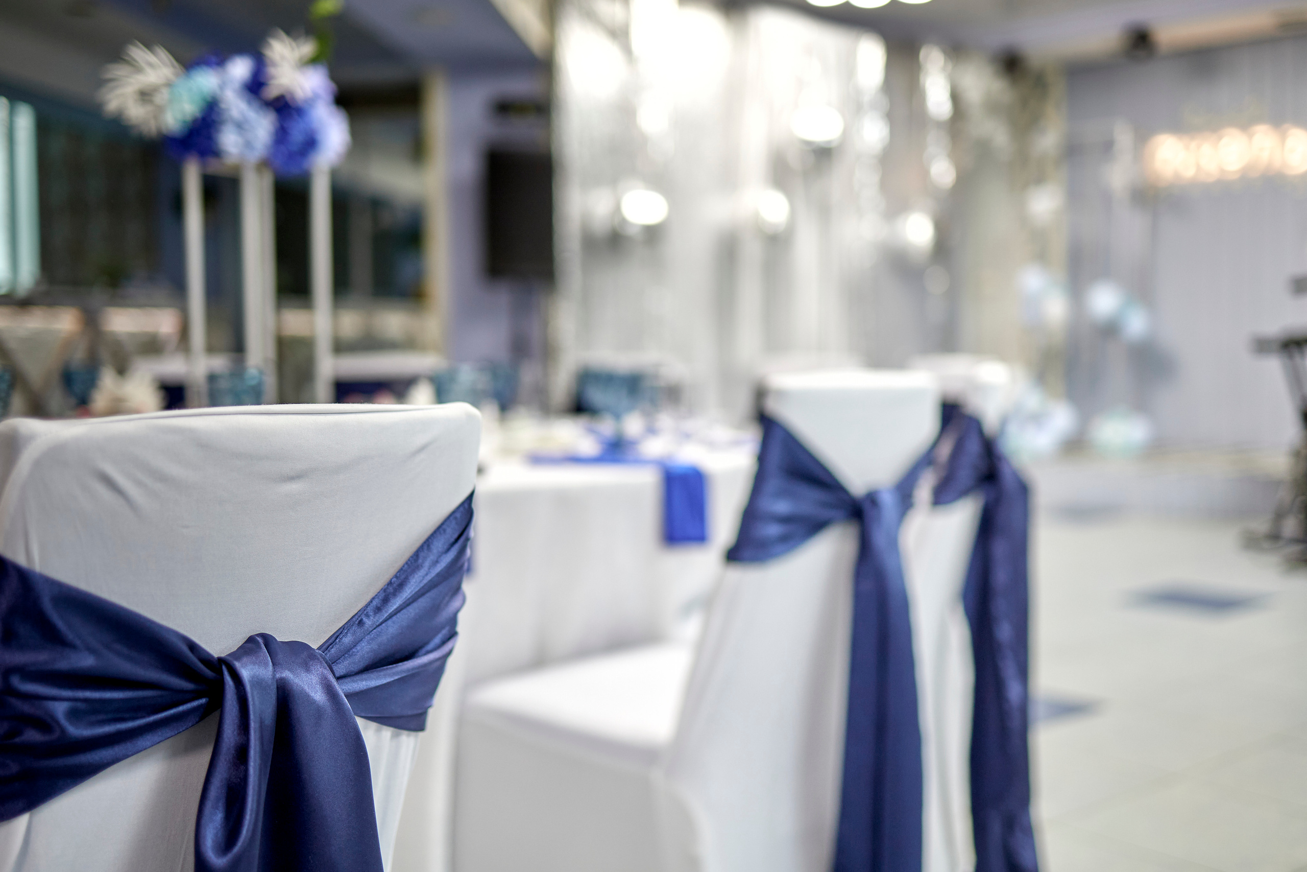 Кафе Гжель (синий цвет). Фотограф Иван Кузьмин на любое Ваше мероприятие