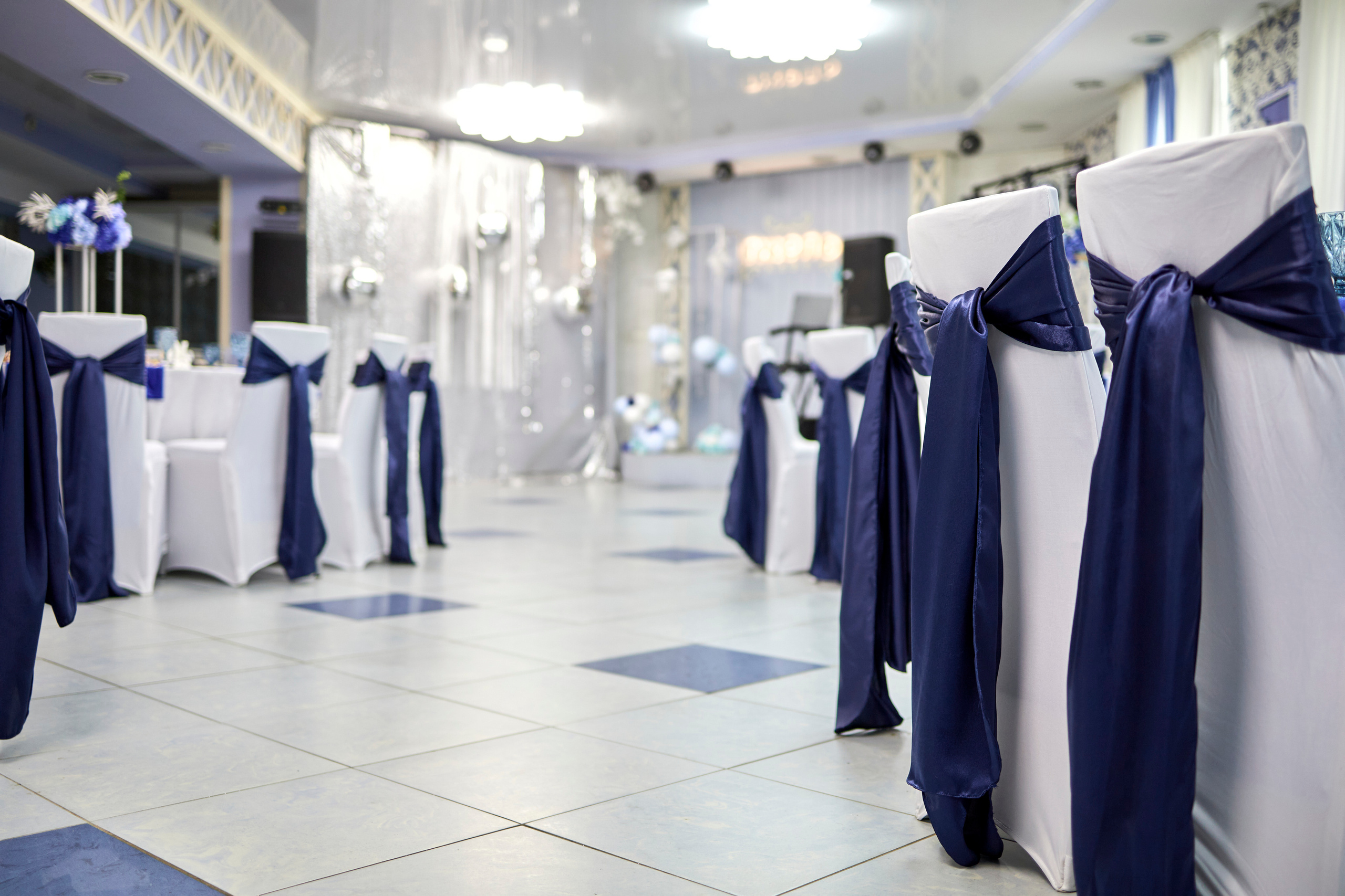 Кафе Гжель (синий цвет). Фотограф Иван Кузьмин на любое Ваше мероприятие