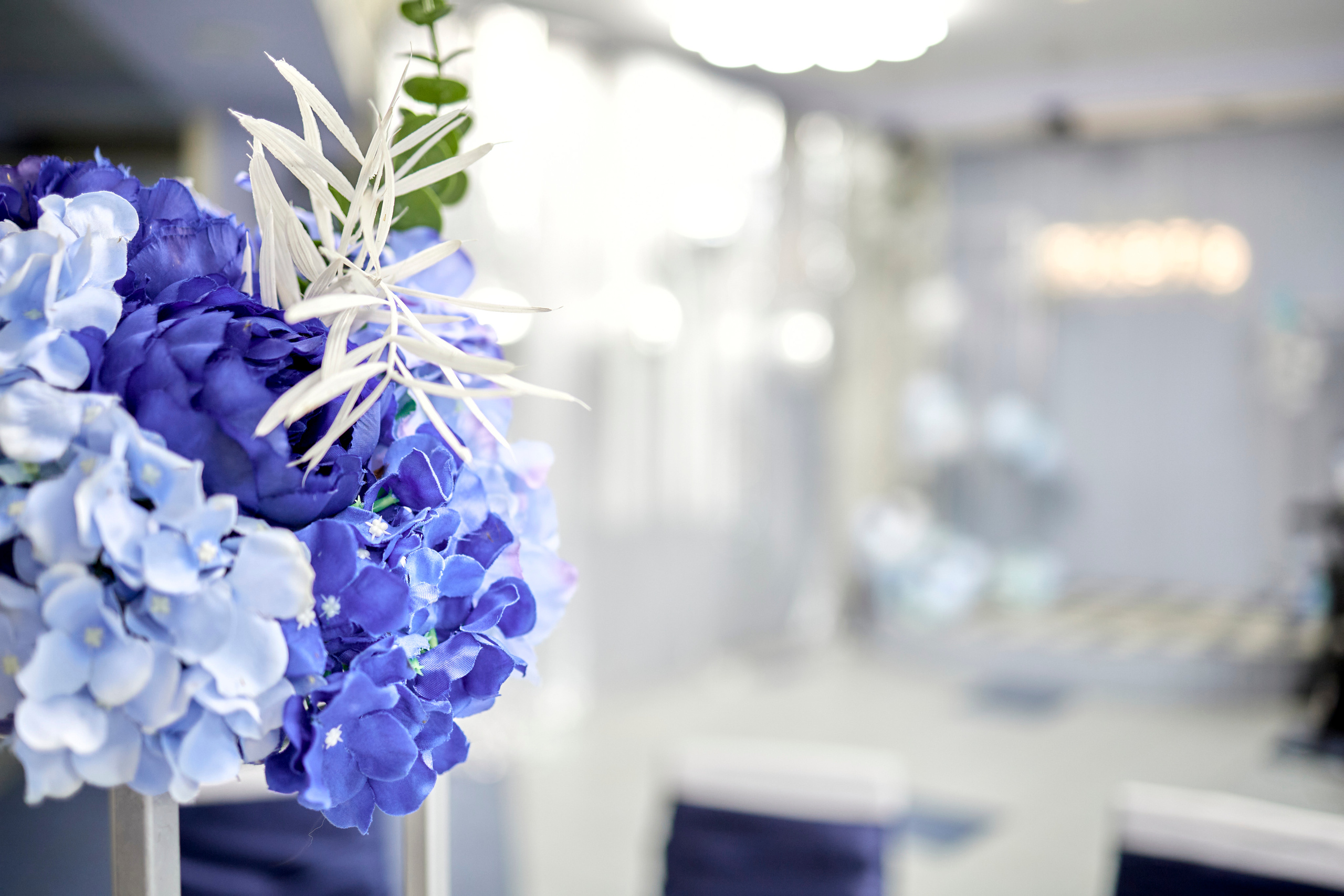 Кафе Гжель (синий цвет). Фотограф Иван Кузьмин на любое Ваше мероприятие