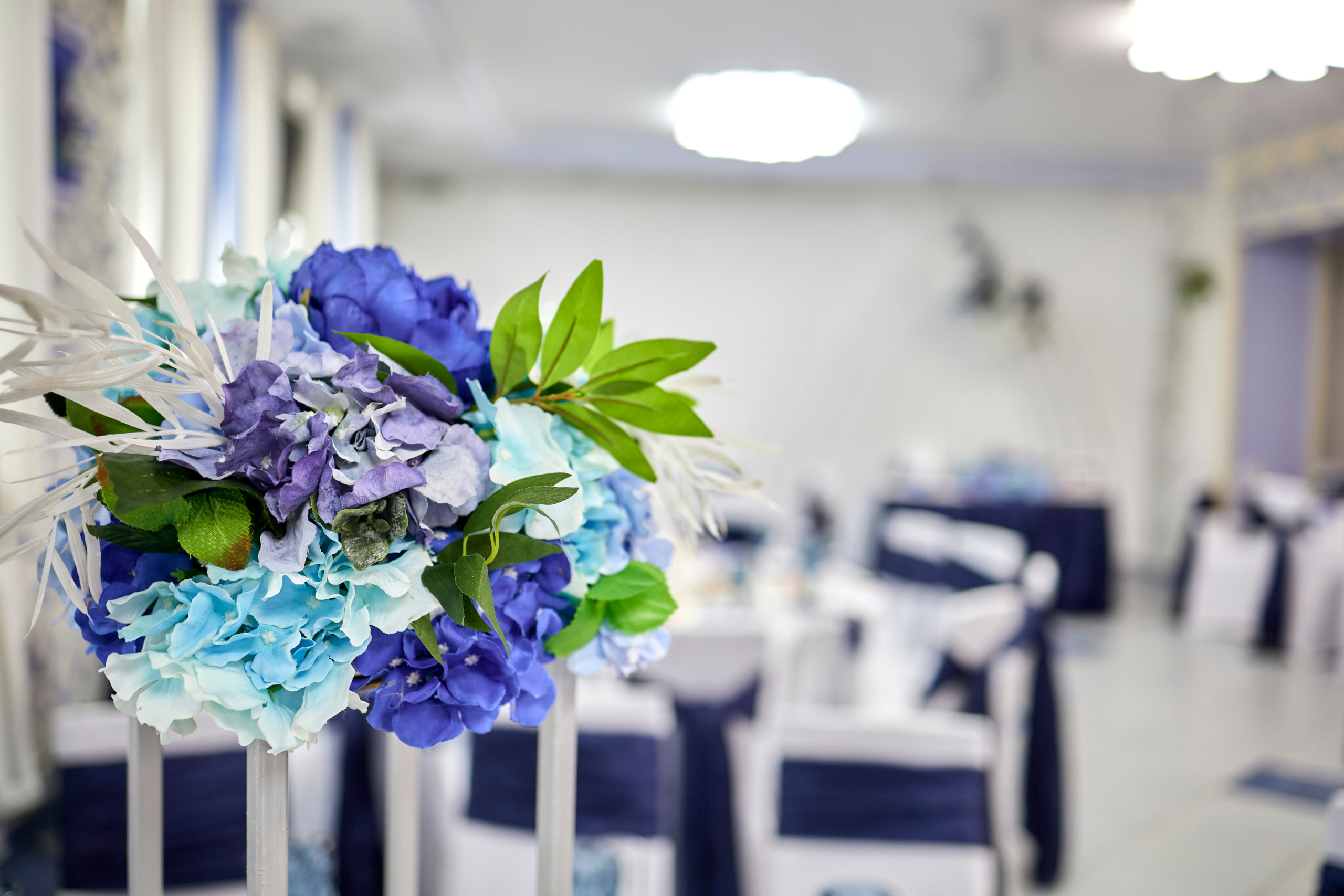 Кафе Гжель (синий цвет). Фотограф Иван Кузьмин на любое Ваше мероприятие