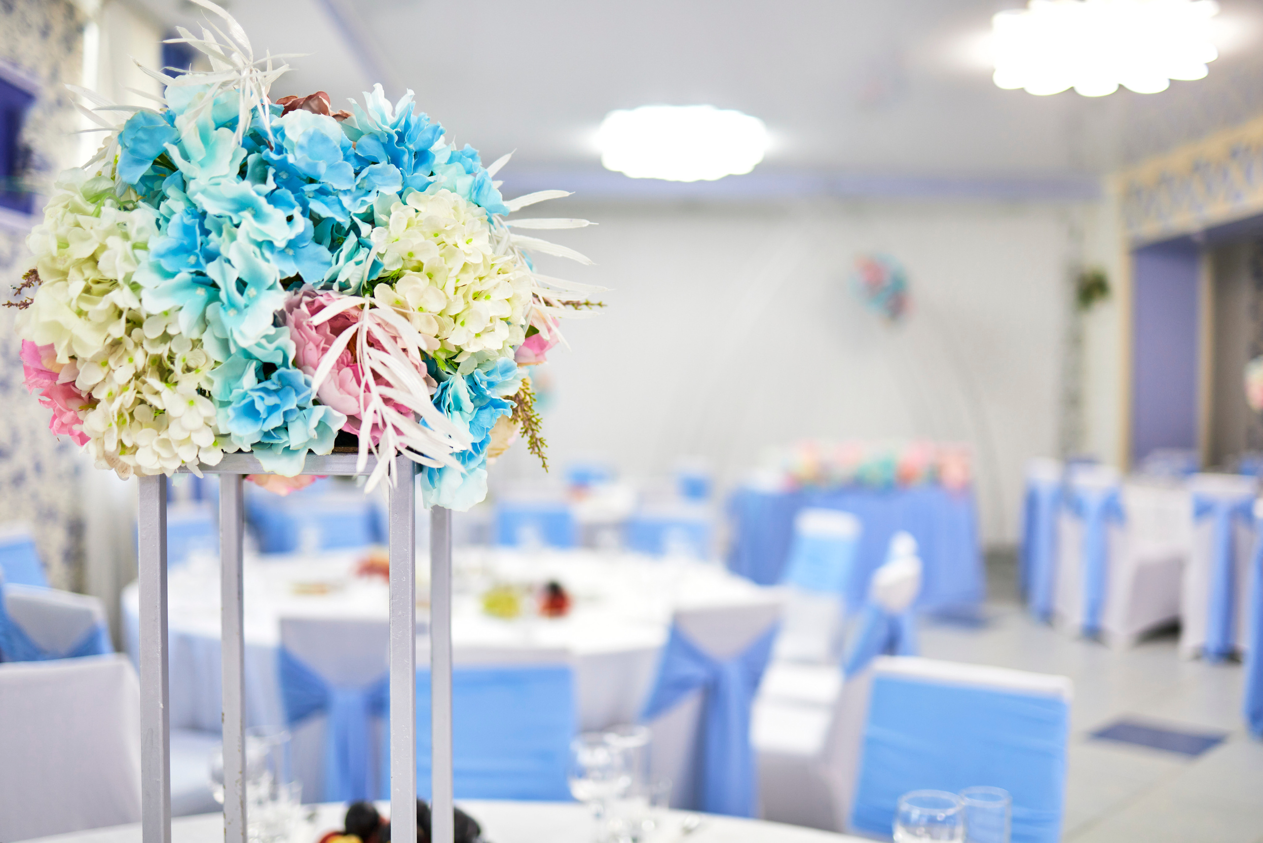 Кафе Гжель (голубой цвет). Фотограф Иван Кузьмин на любое Ваше мероприятие