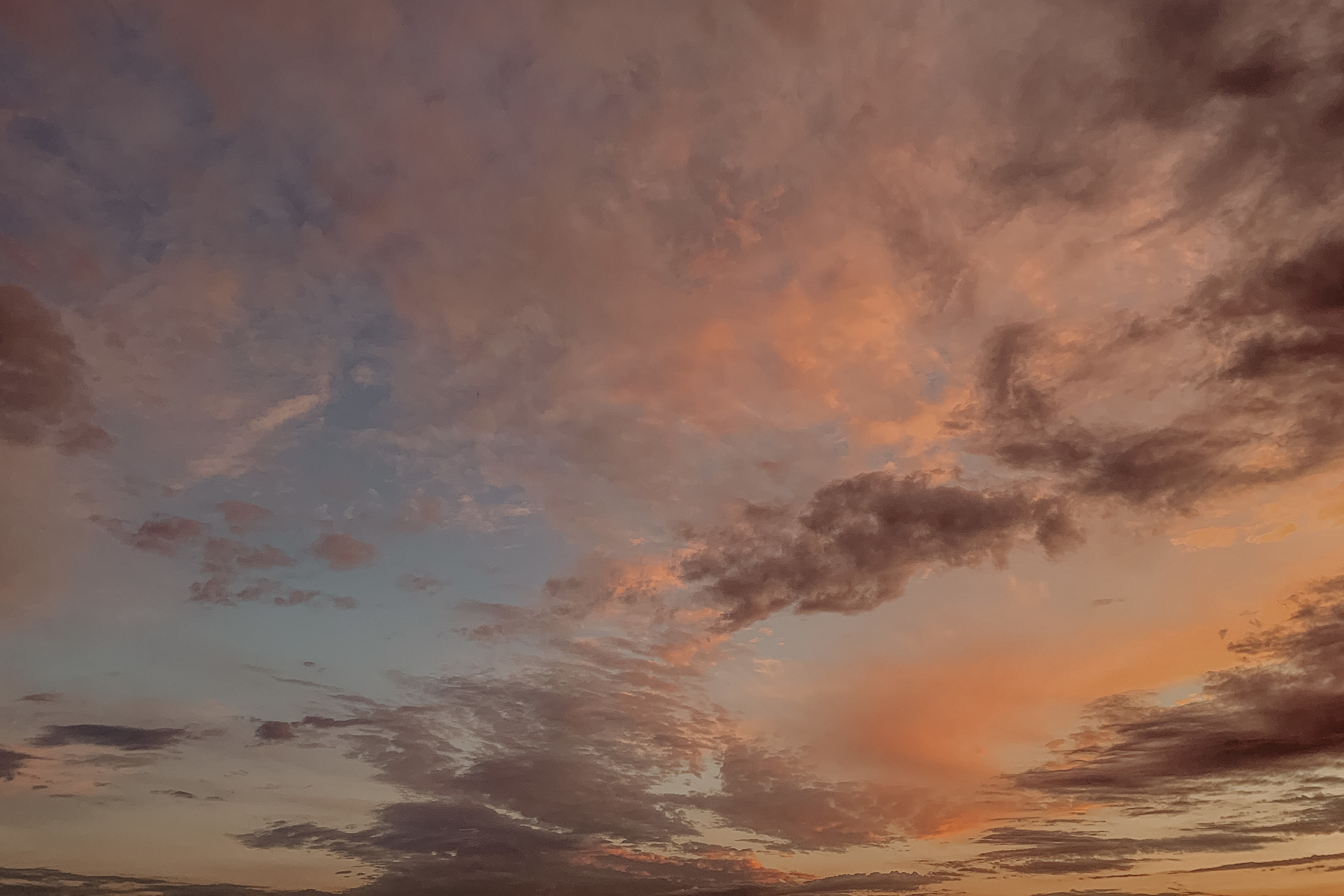 Сергей&Элина. Фотограф в Санкт Петербурге и Москве Анастасия Сиволод