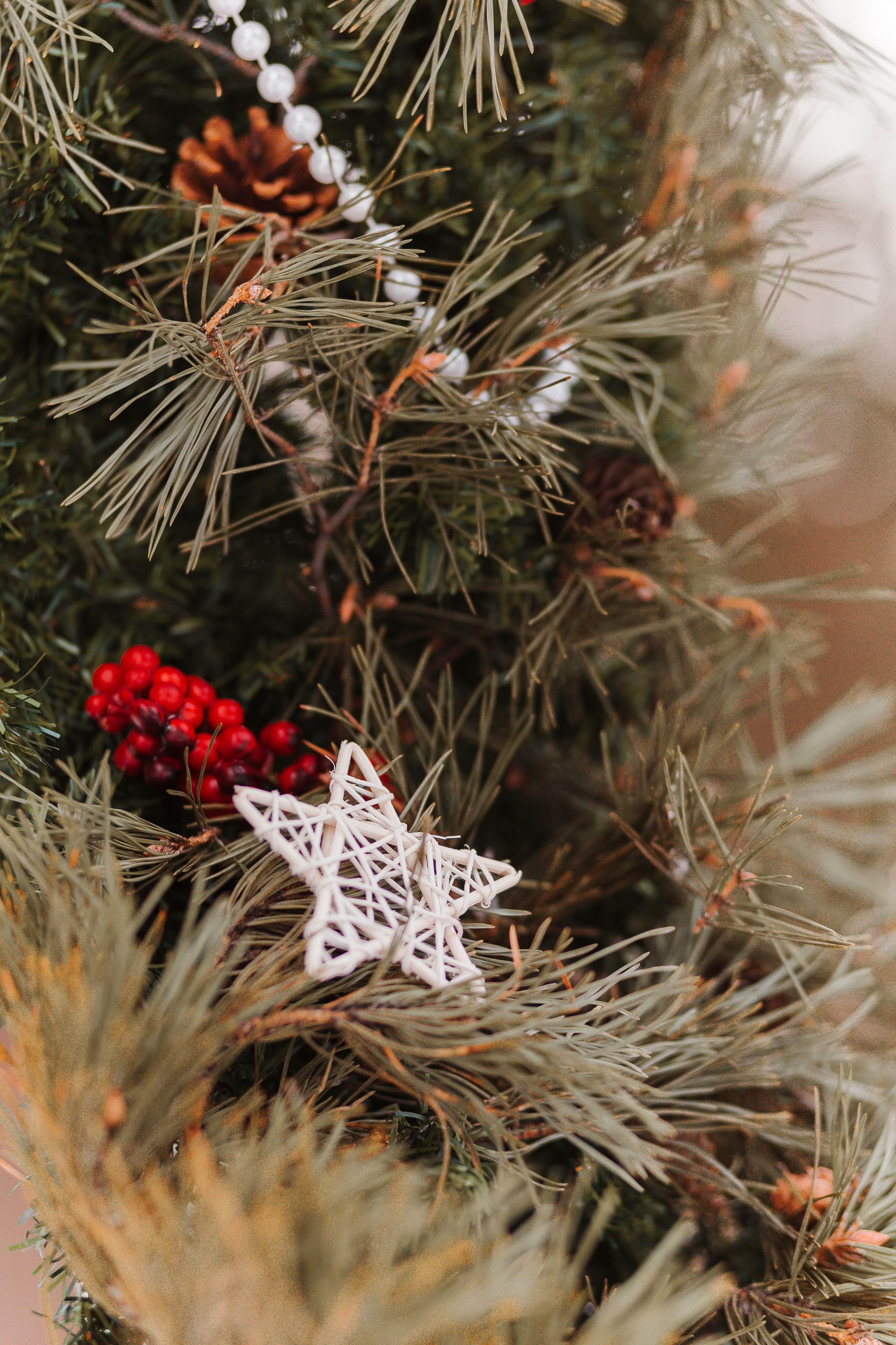 Денис и Людмила. Фотограф Бурятии София Андриянова