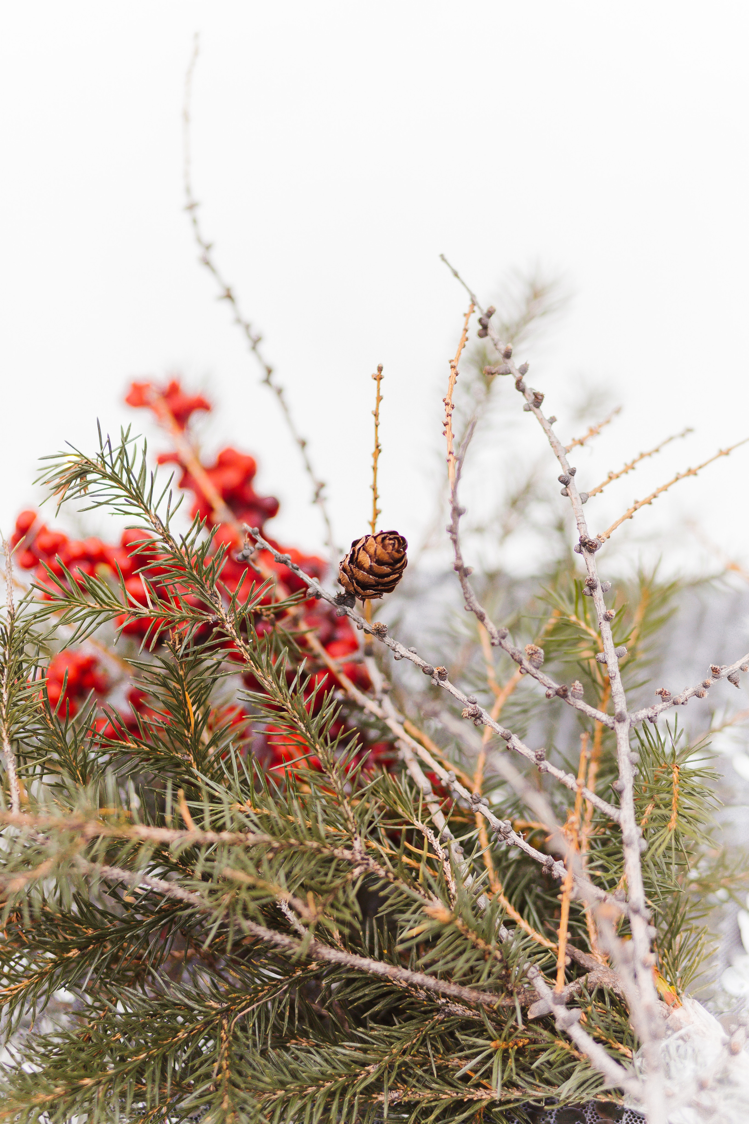 Денис и Людмила. Фотограф Бурятии София Андриянова