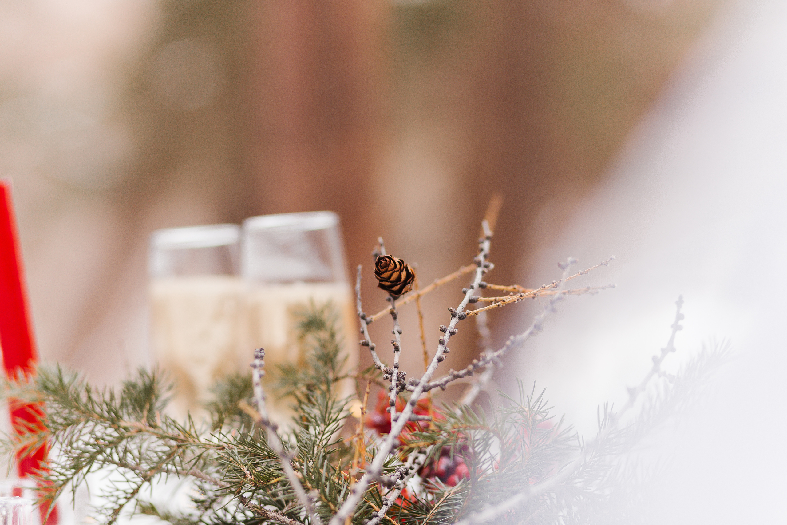 Денис и Людмила. Фотограф Бурятии София Андриянова