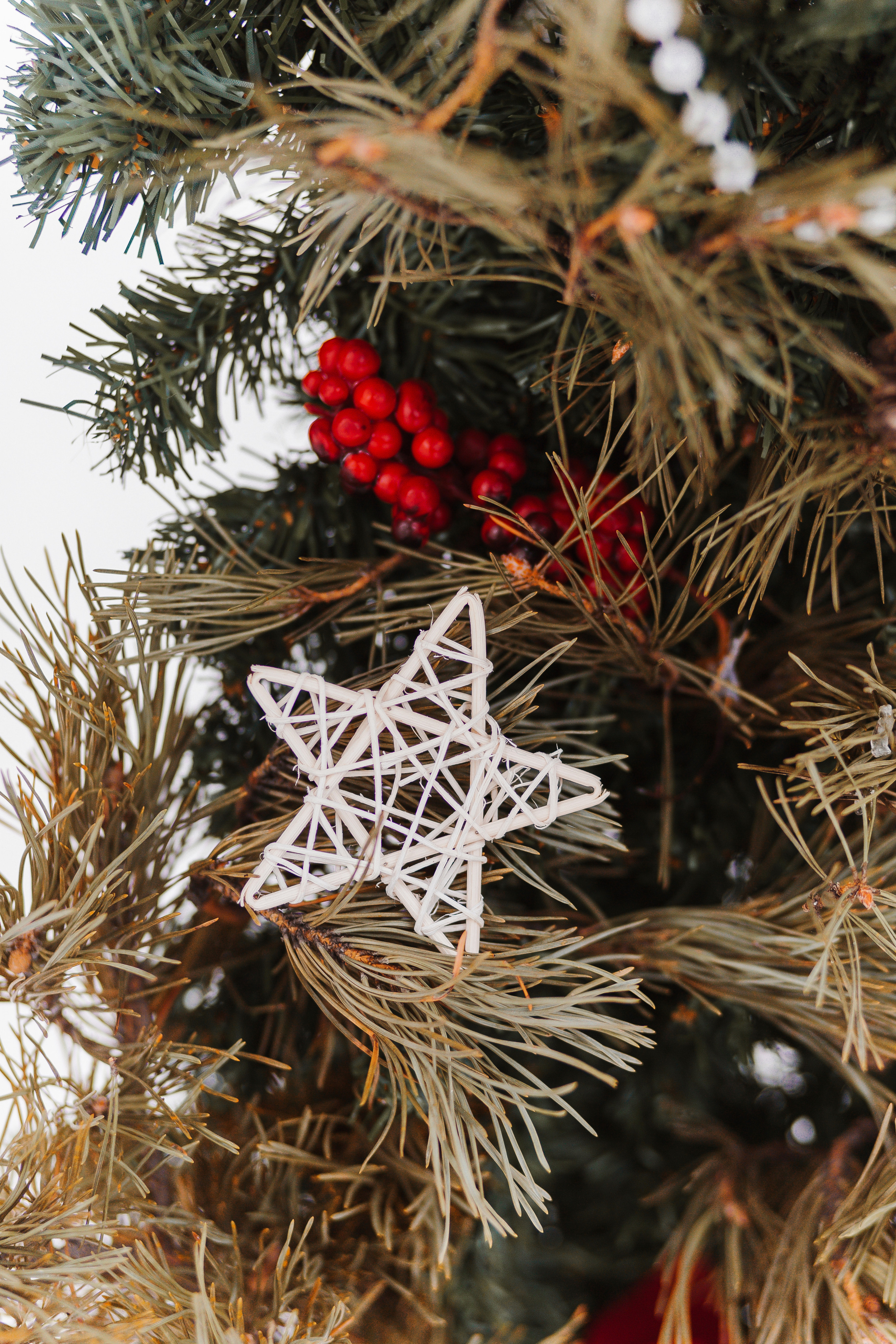 Денис и Людмила. Фотограф Бурятии София Андриянова