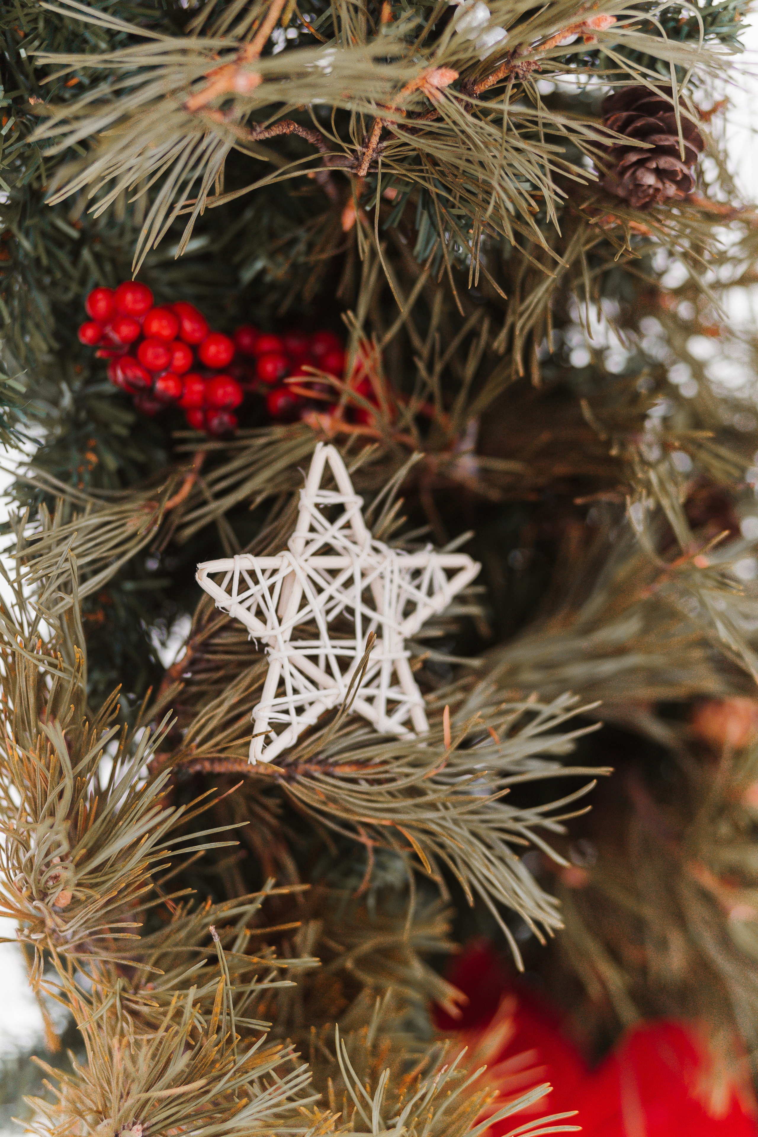 Денис и Людмила. Фотограф Бурятии София Андриянова