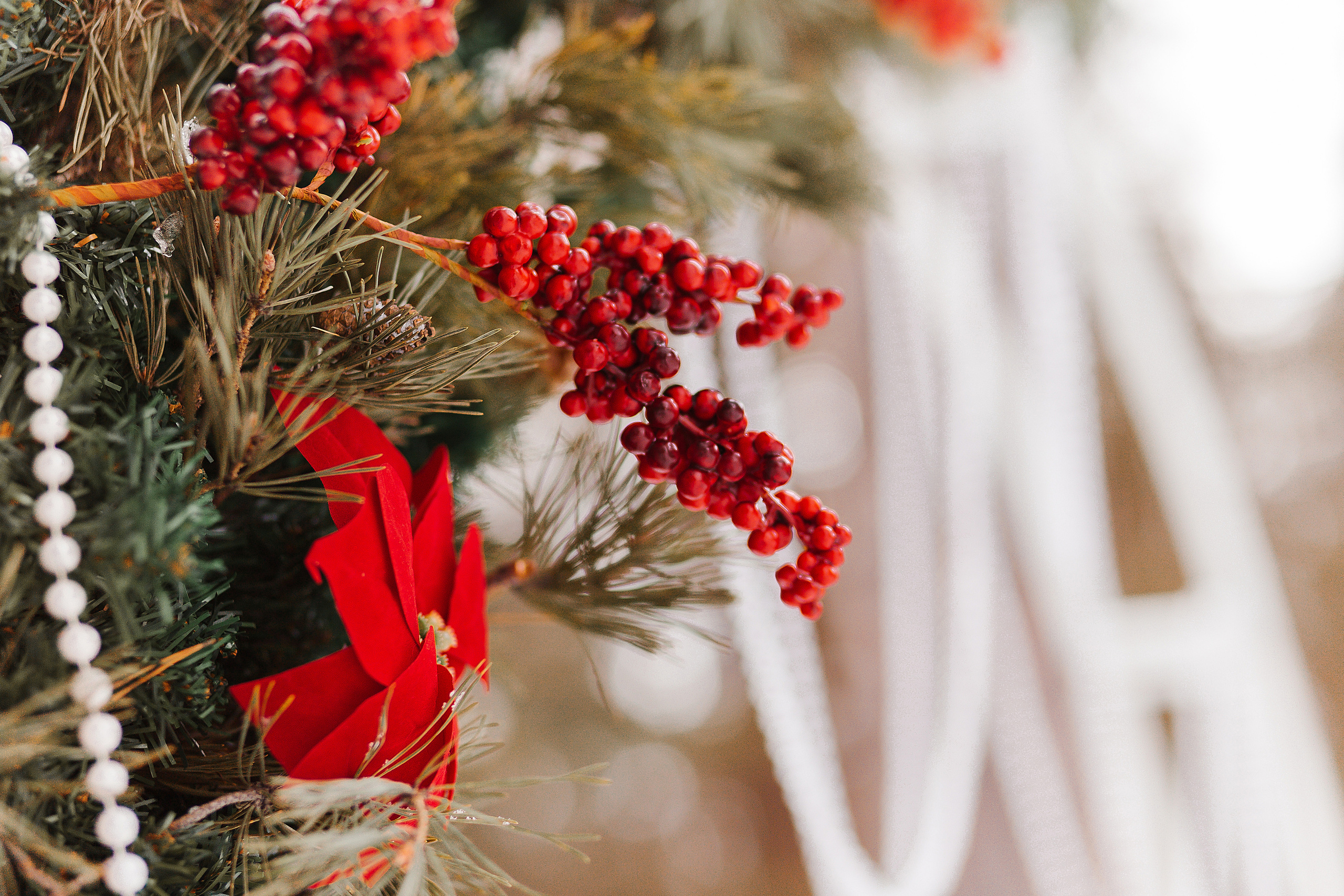 Денис и Людмила. Фотограф Бурятии София Андриянова