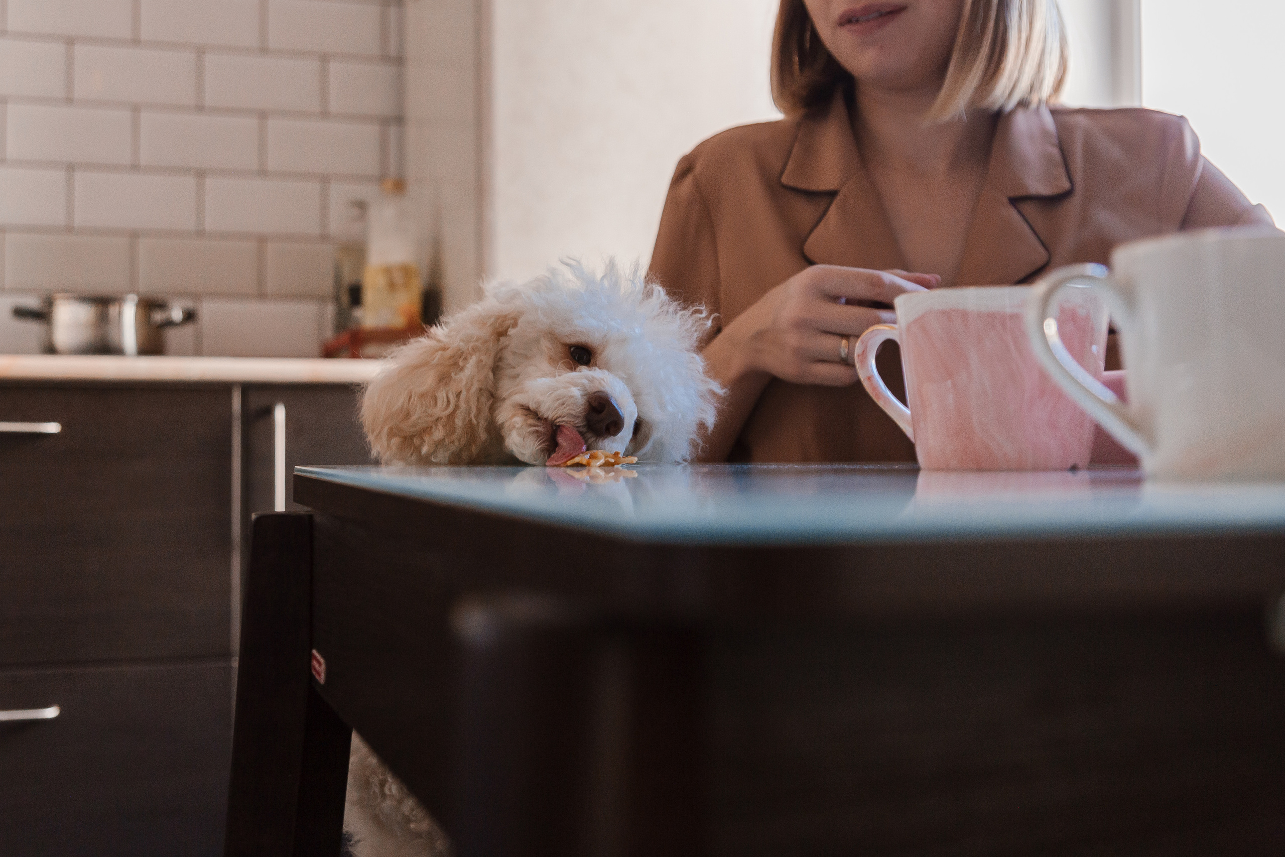 Домашняя атмосфера с Любой, витей и их сыном Яриком. Фотограф Бурятии София Андриянова