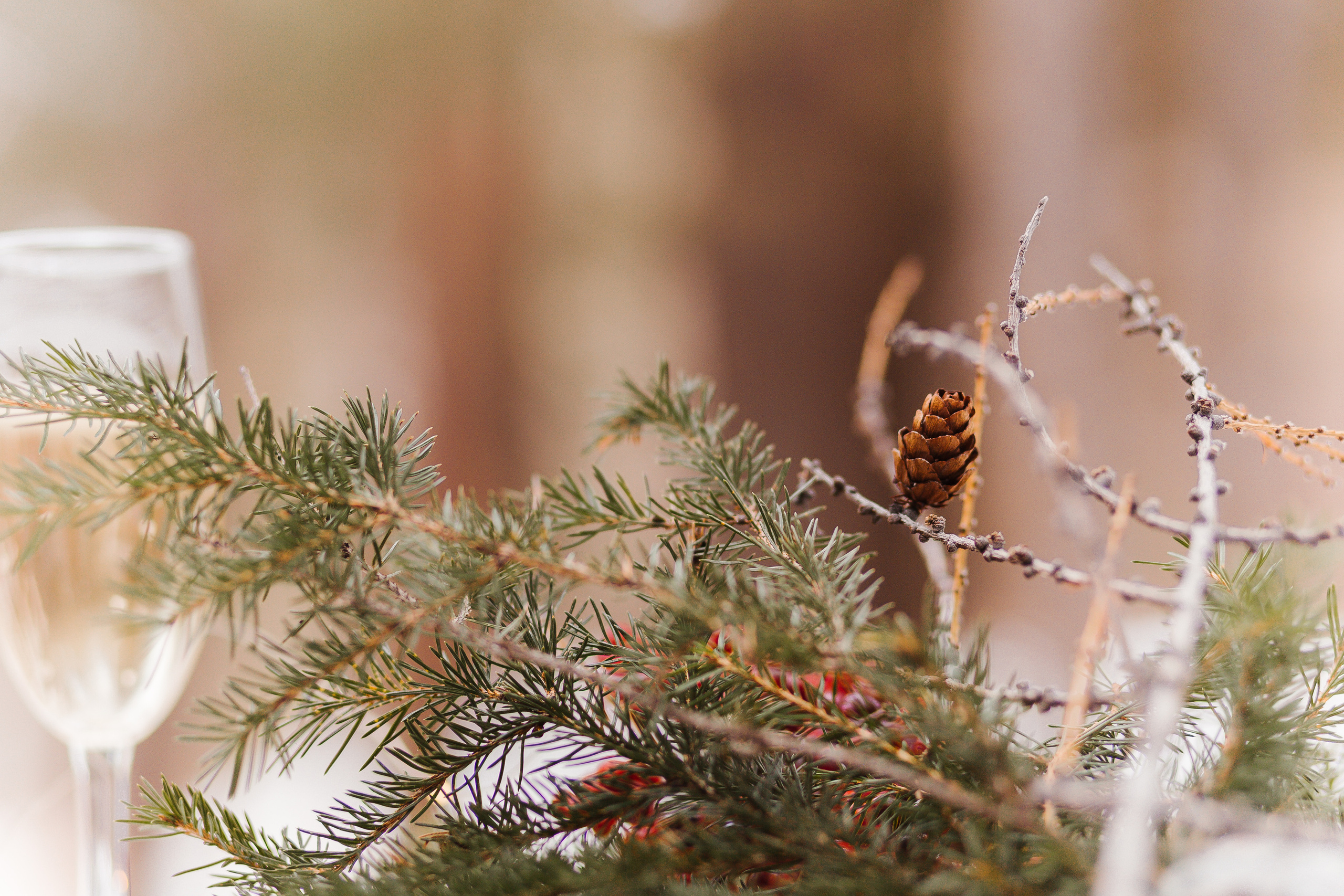 Денис и Людмила. Фотограф Бурятии София Андриянова