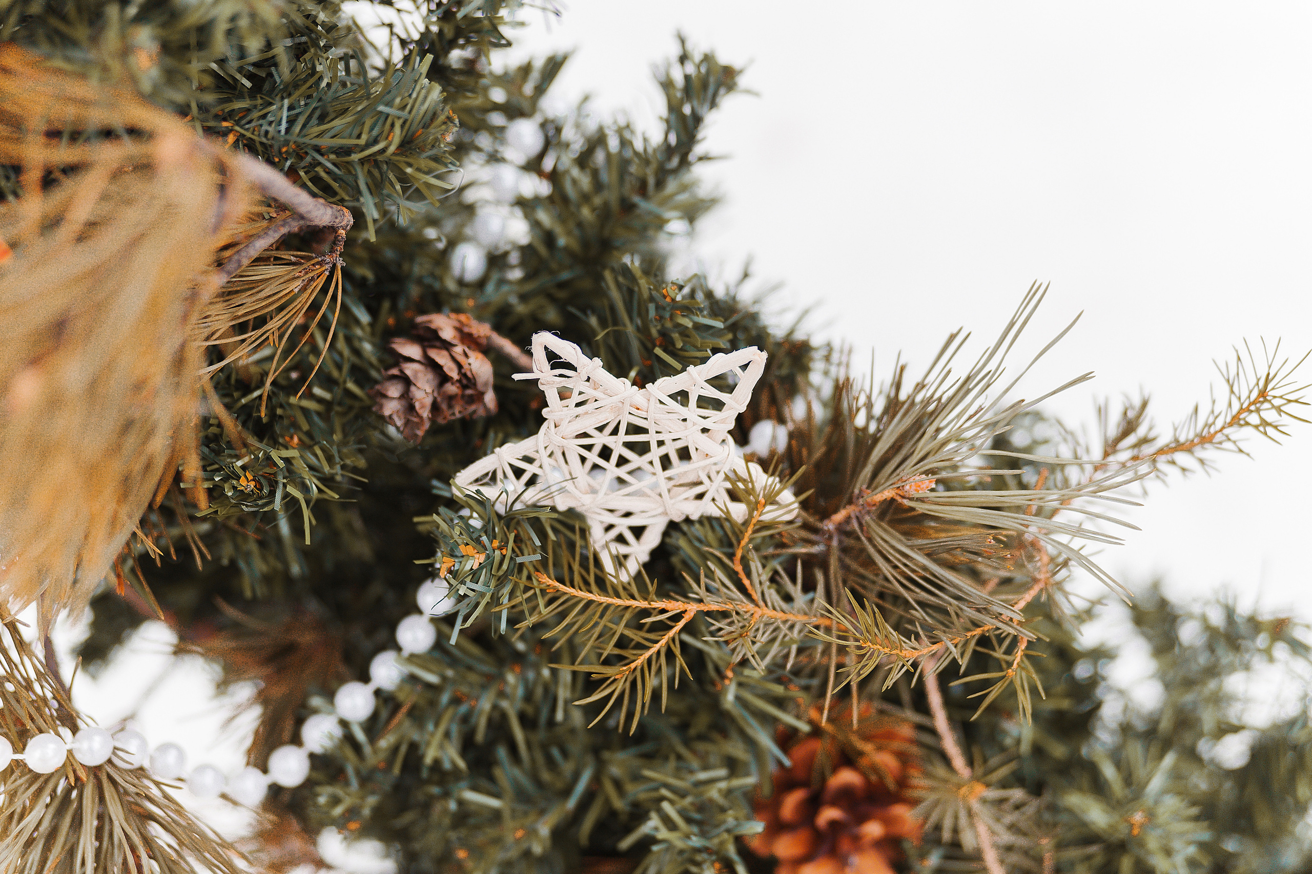 Денис и Людмила. Фотограф Бурятии София Андриянова