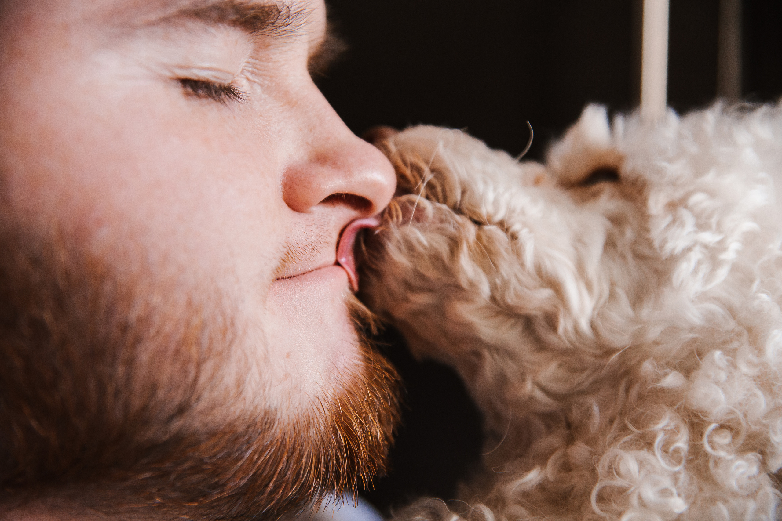 Домашняя атмосфера с Любой, витей и их сыном Яриком. Фотограф Бурятии София Андриянова